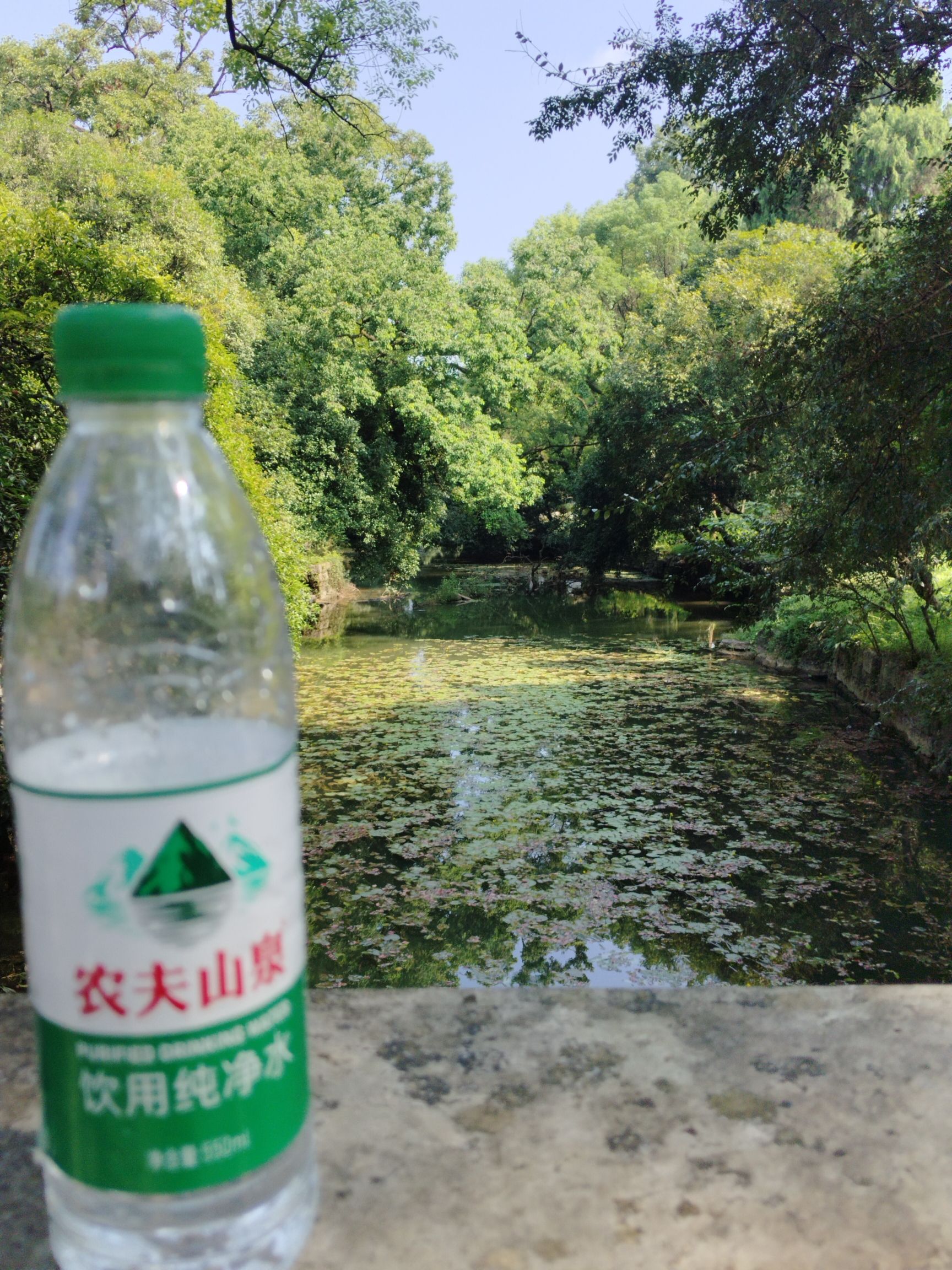 雁山园旅行图片 3