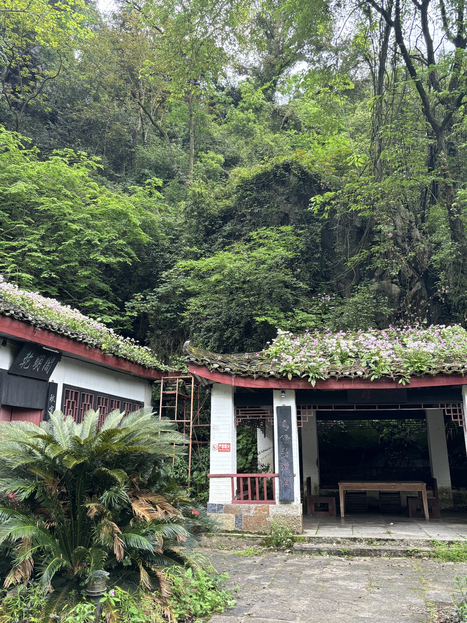 雁山园旅行图片 3