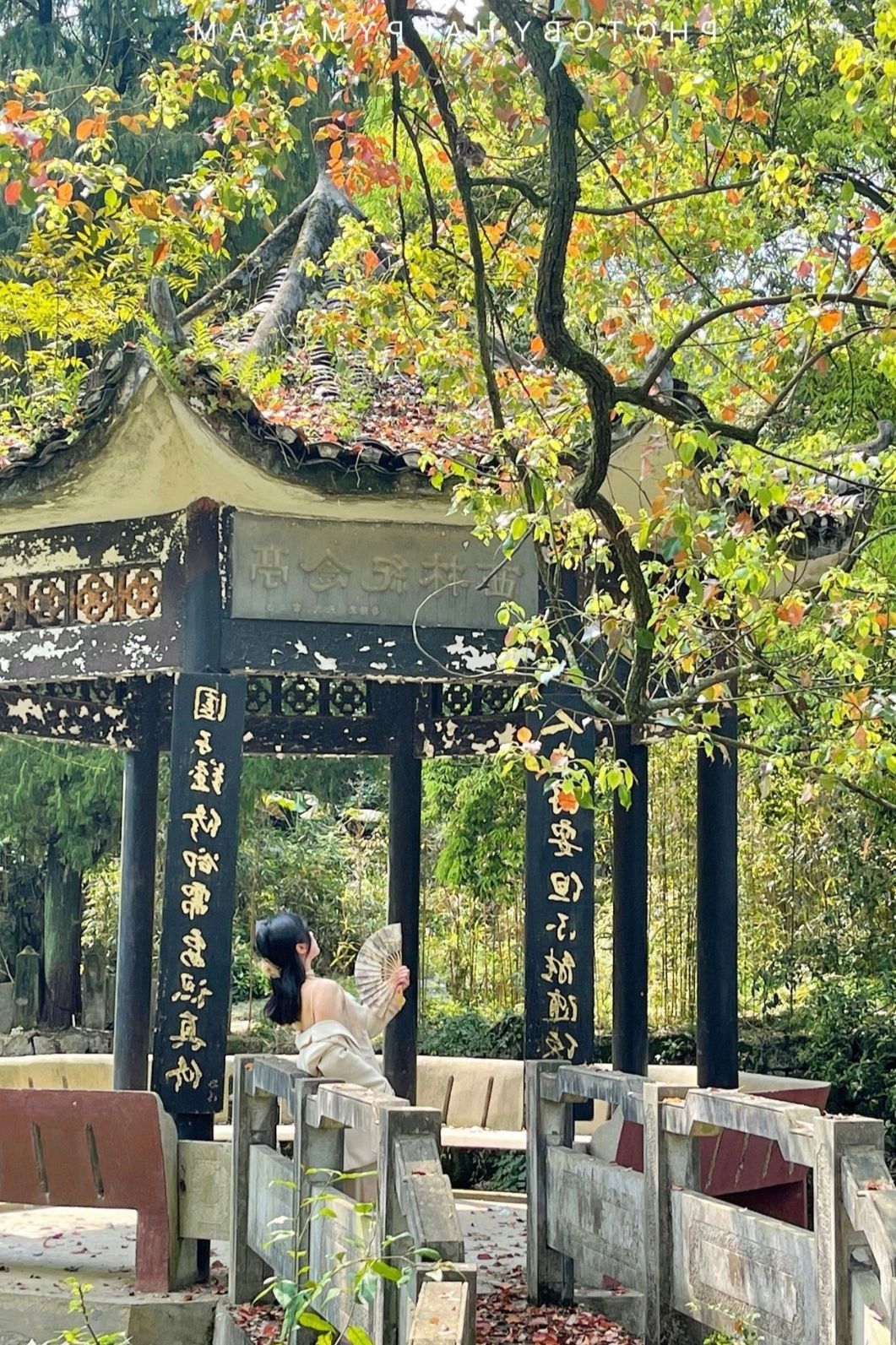 雁山园旅行图片 2