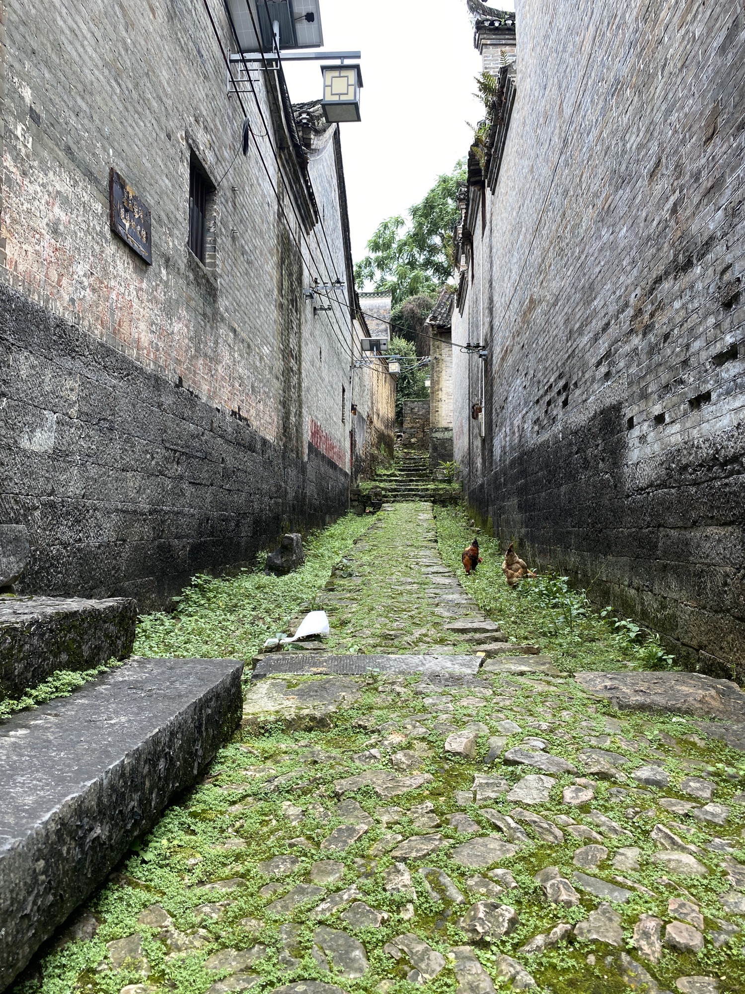 郎梓旅行图片 1