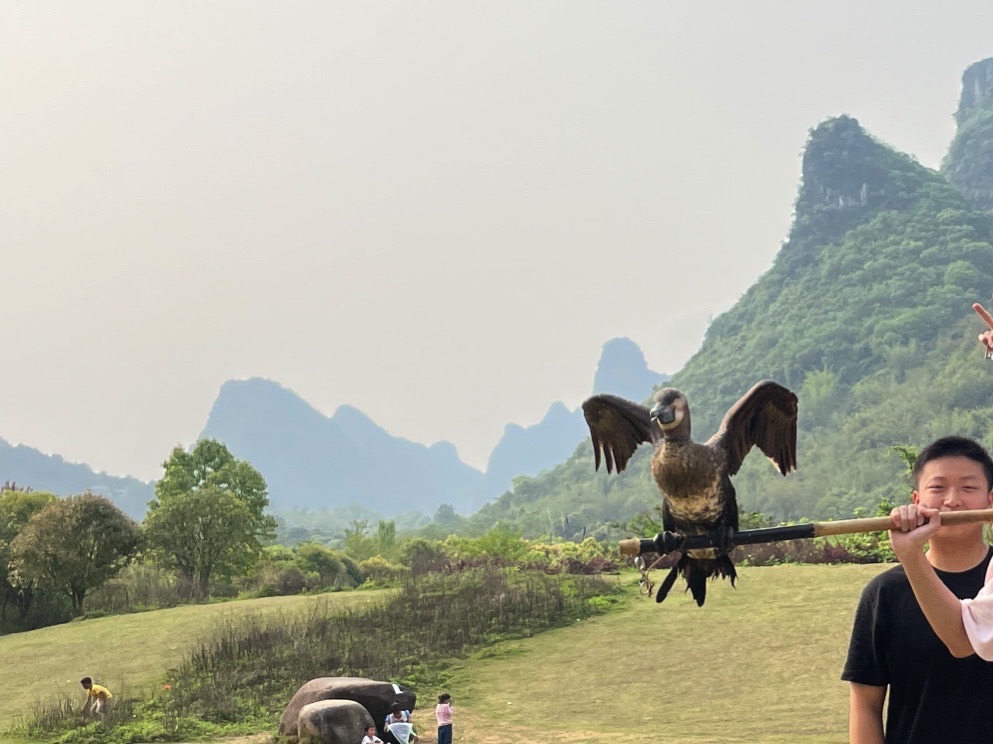 赏月景区旅行图片 3