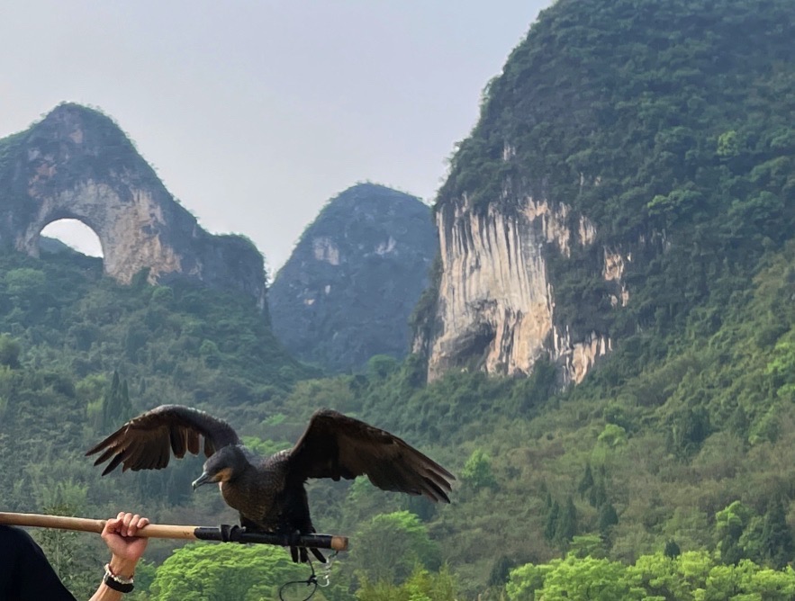 赏月景区旅行图片 2