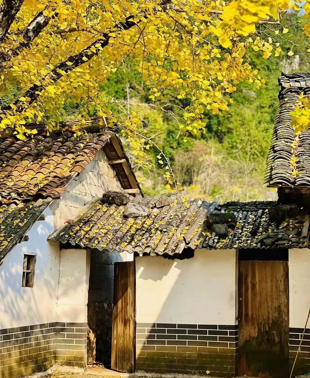 秦家大院旅行图片 3