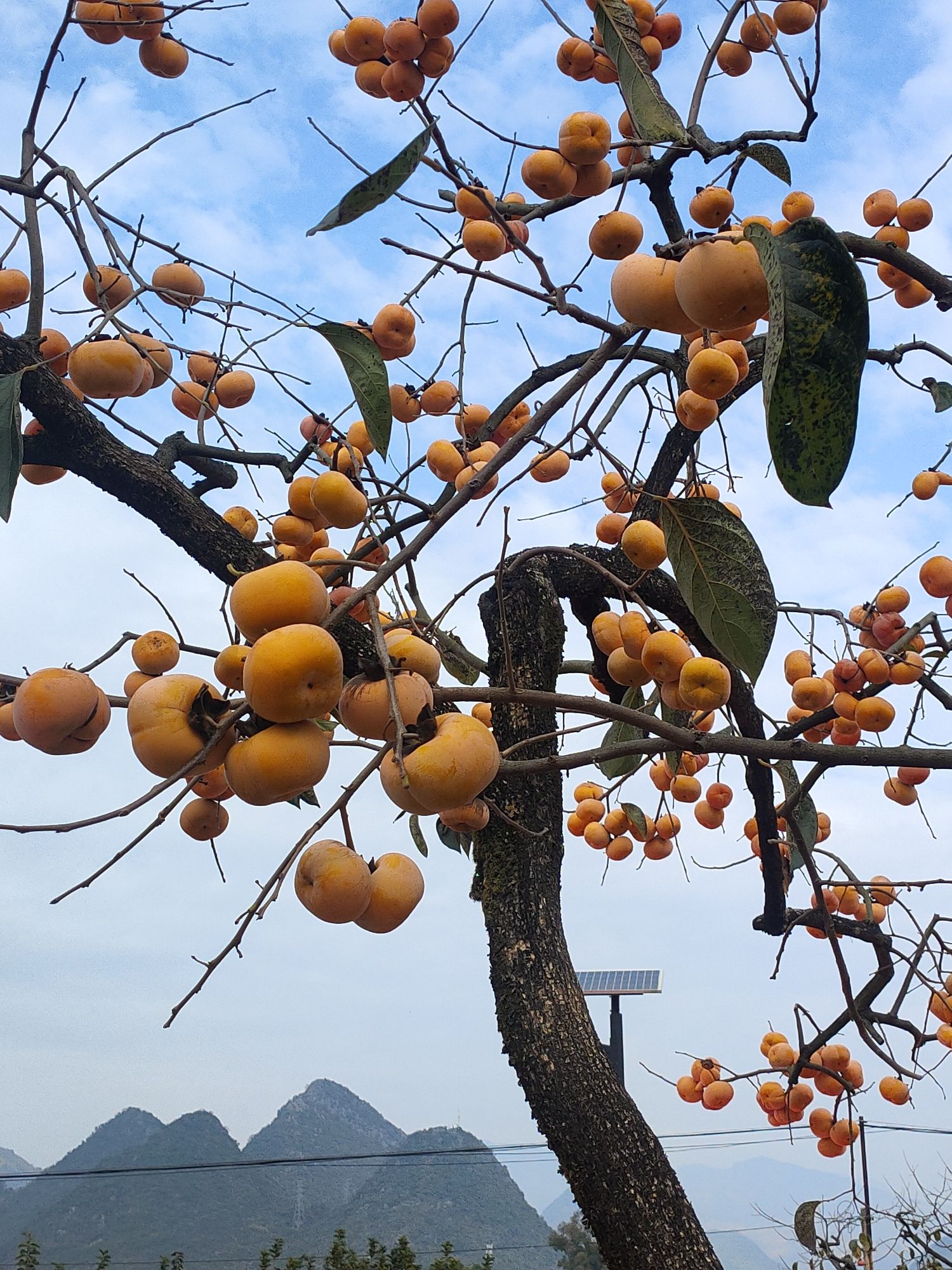 红岩旅游区旅行图片 2