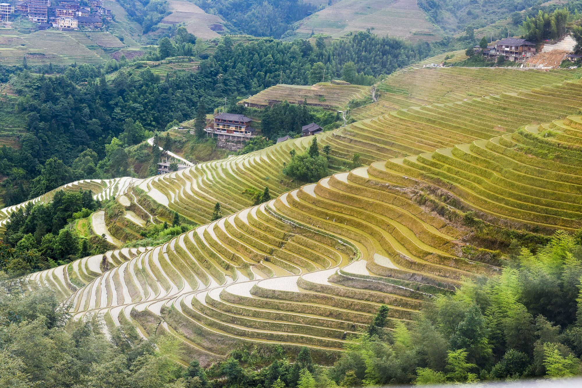 龙脊梯田风景名胜区旅行图片 2