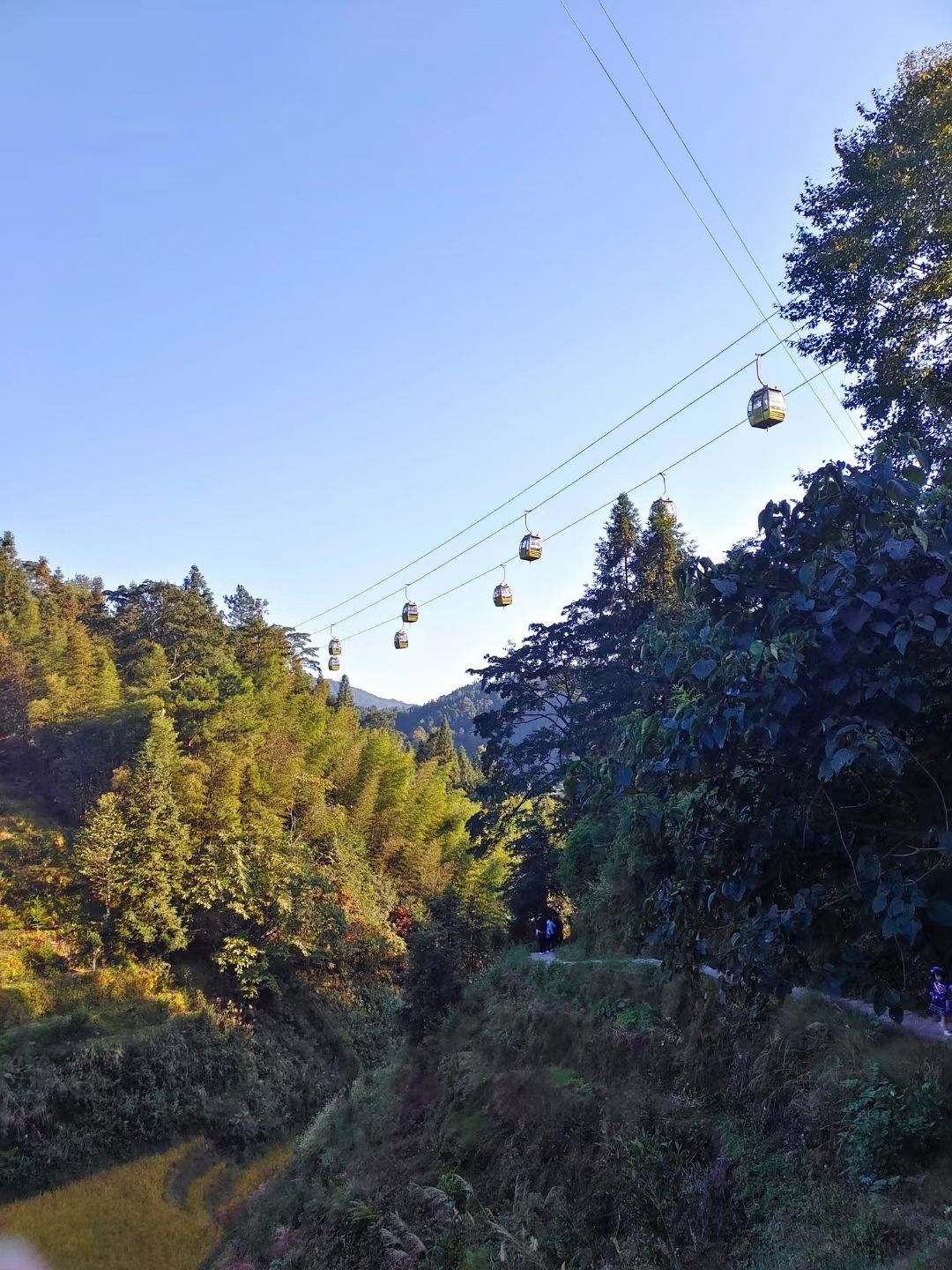 龙脊梯田风景名胜区旅行图片 2