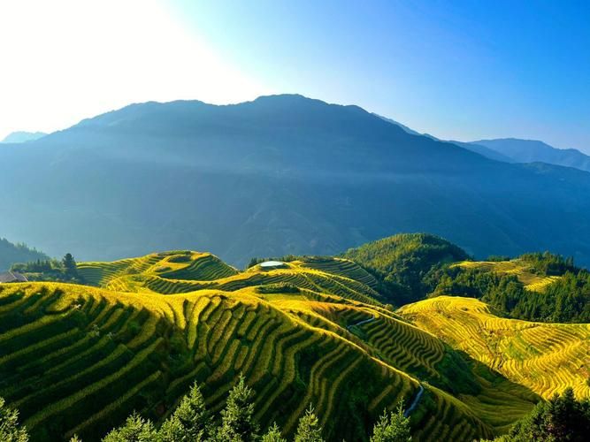 龙脊梯田风景名胜区旅行图片 3
