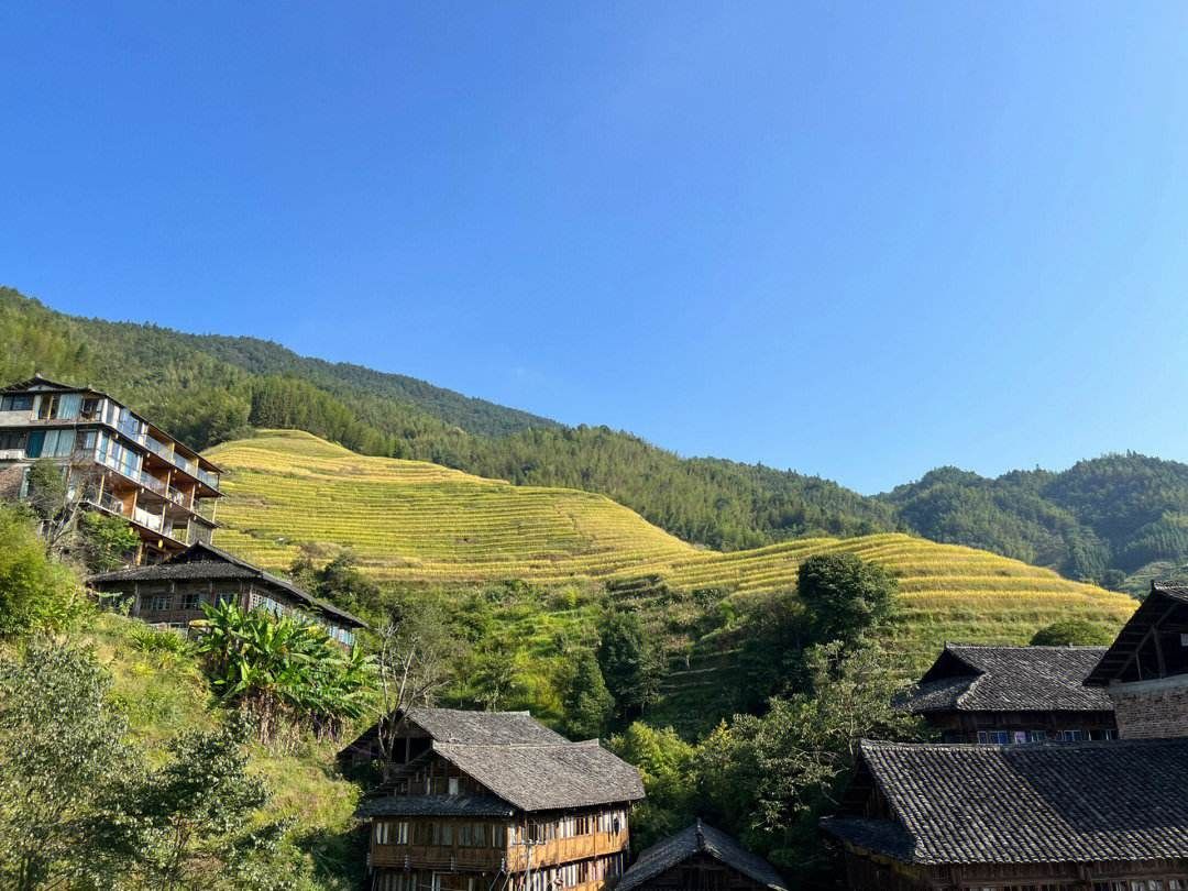 龙脊梯田风景名胜区旅行图片 2