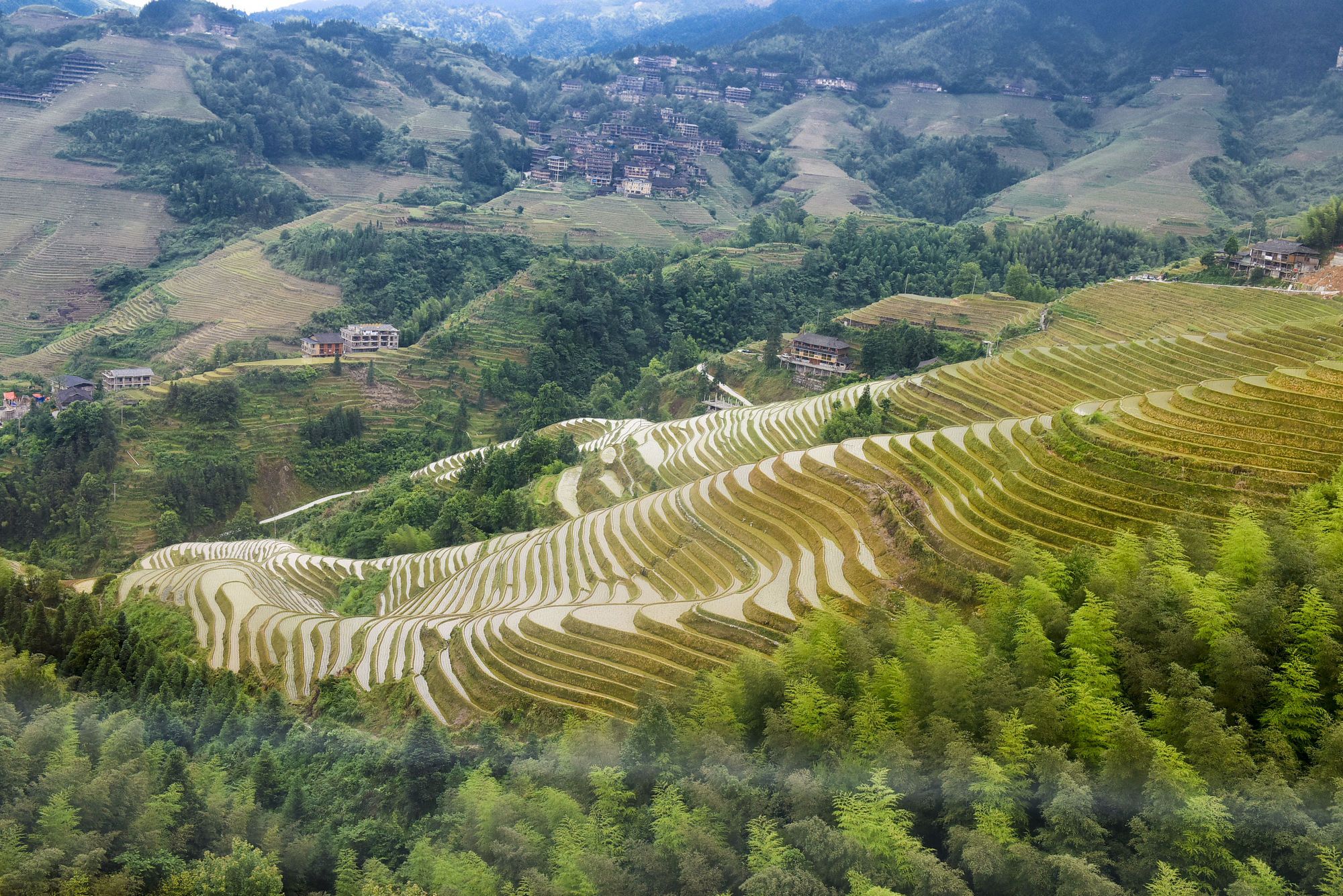 龙脊梯田风景名胜区旅行图片 3
