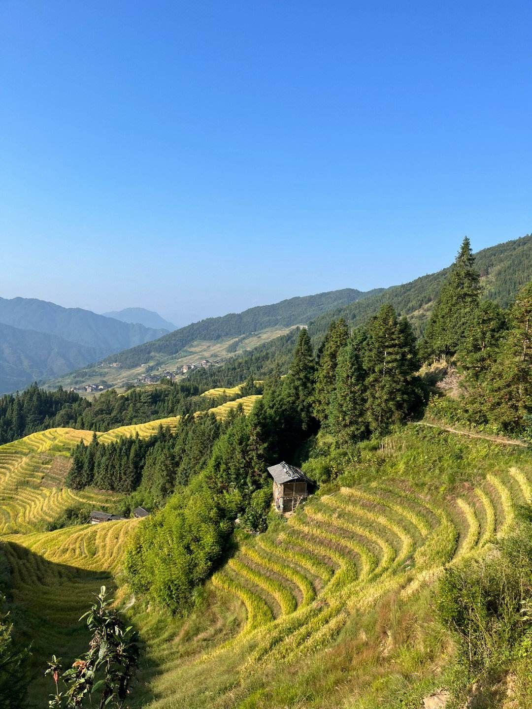 龙脊梯田风景名胜区旅行图片 1