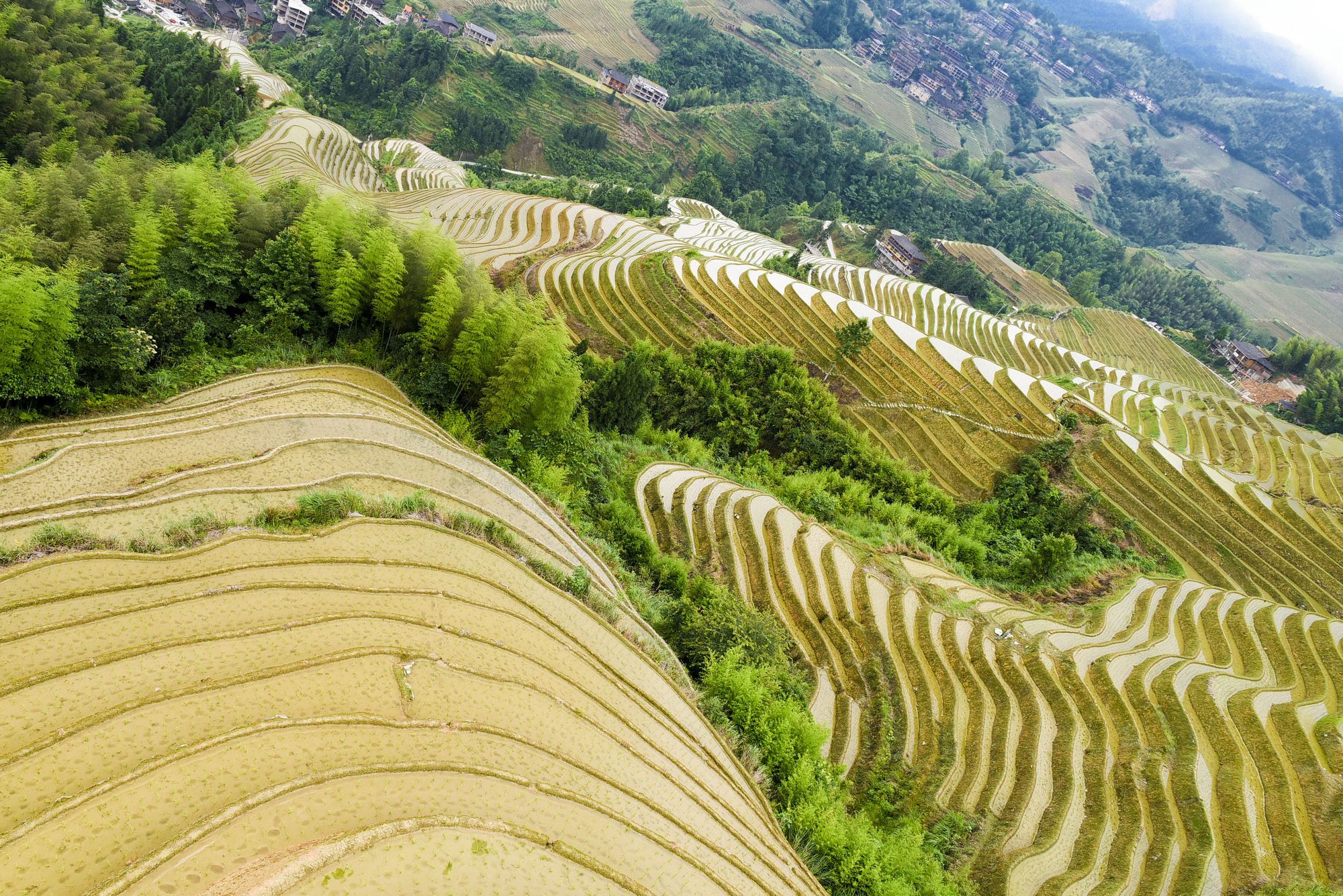 龙脊梯田风景名胜区旅行图片 1