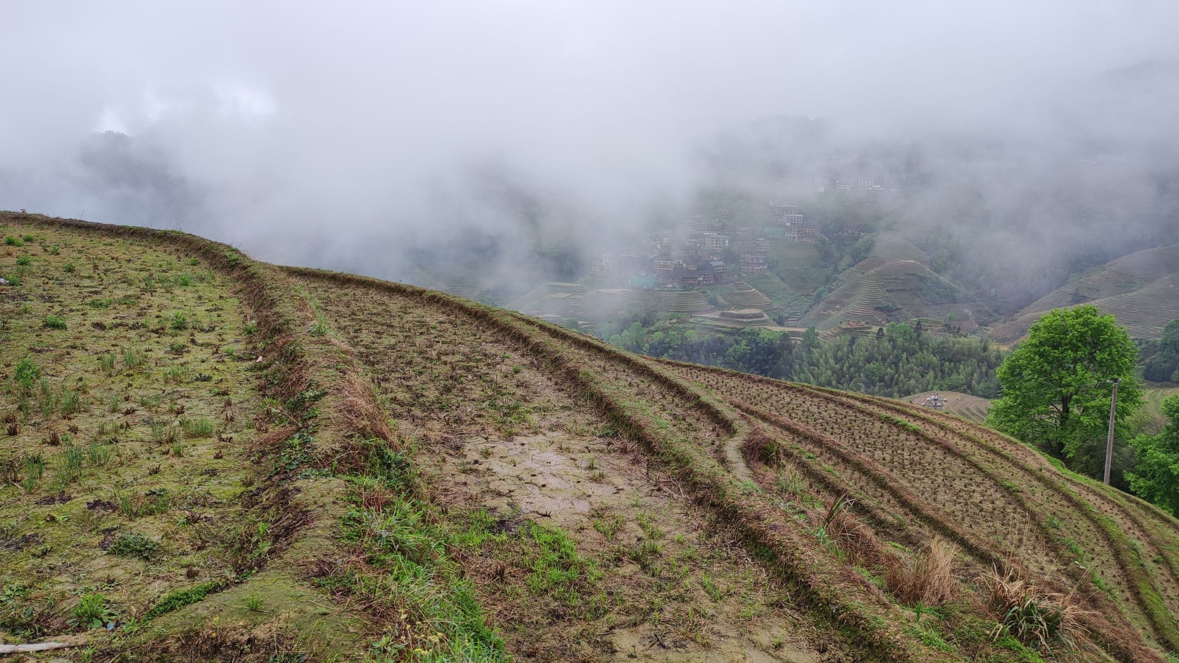 龙脊梯田风景名胜区旅行图片 1