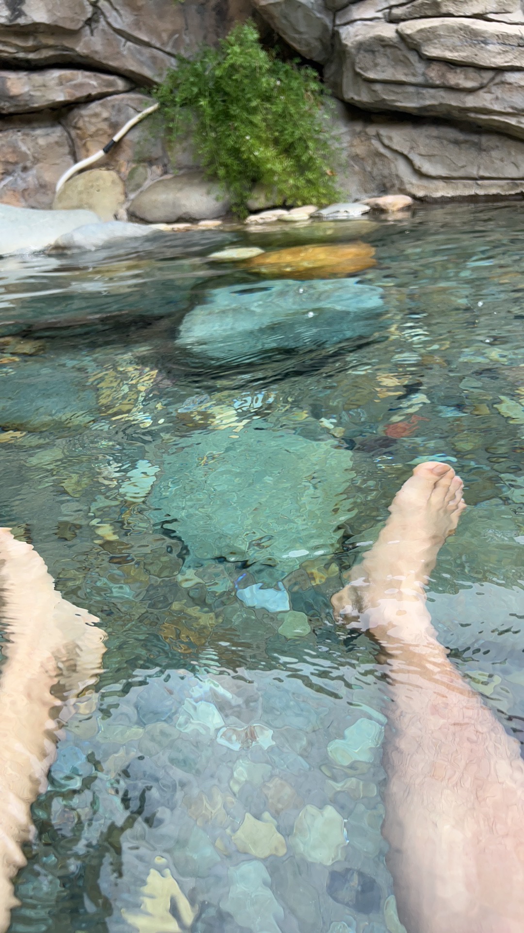 龙胜温泉国家森林公园旅行图片 1