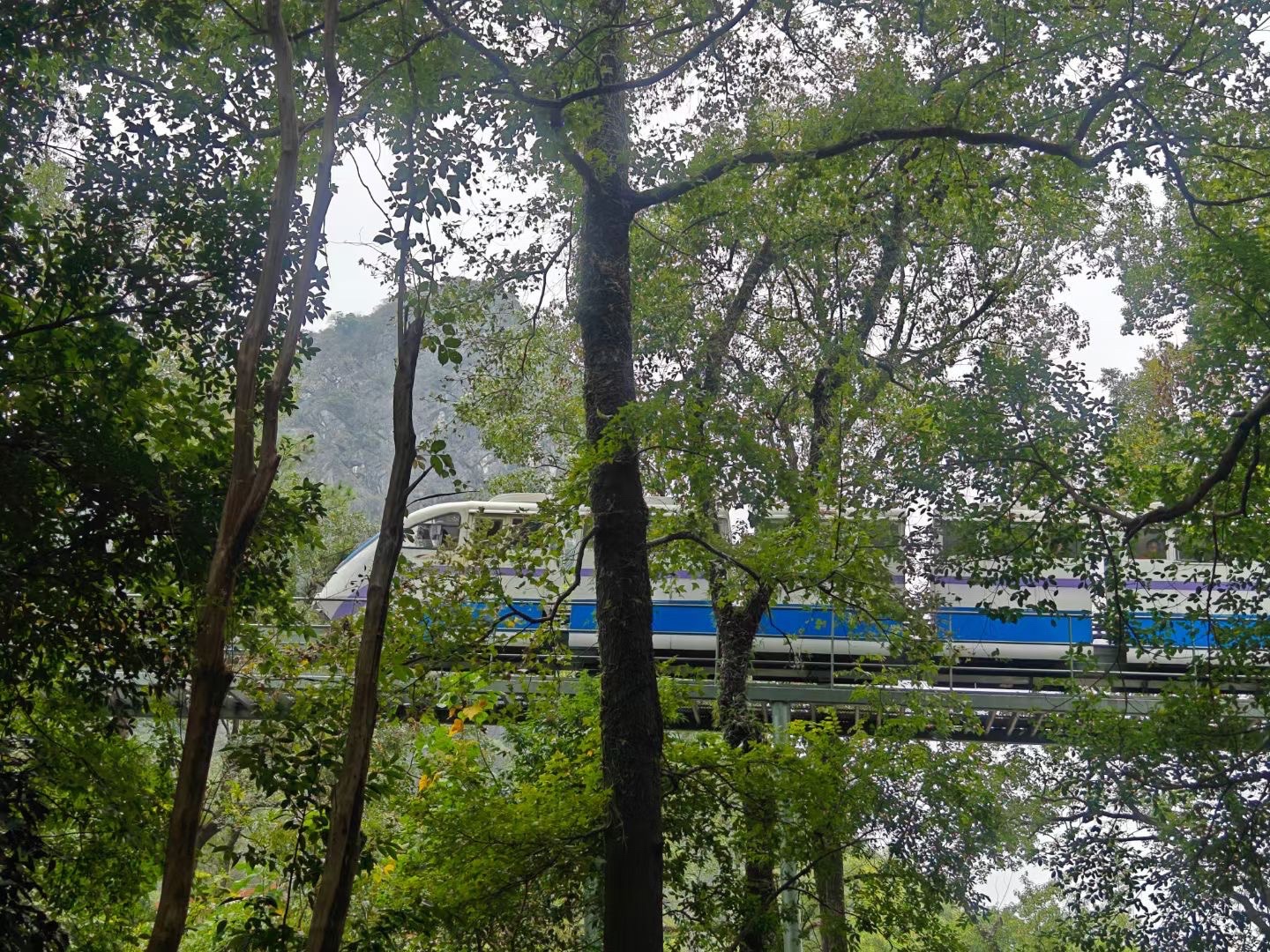 芦笛景区旅行图片 2