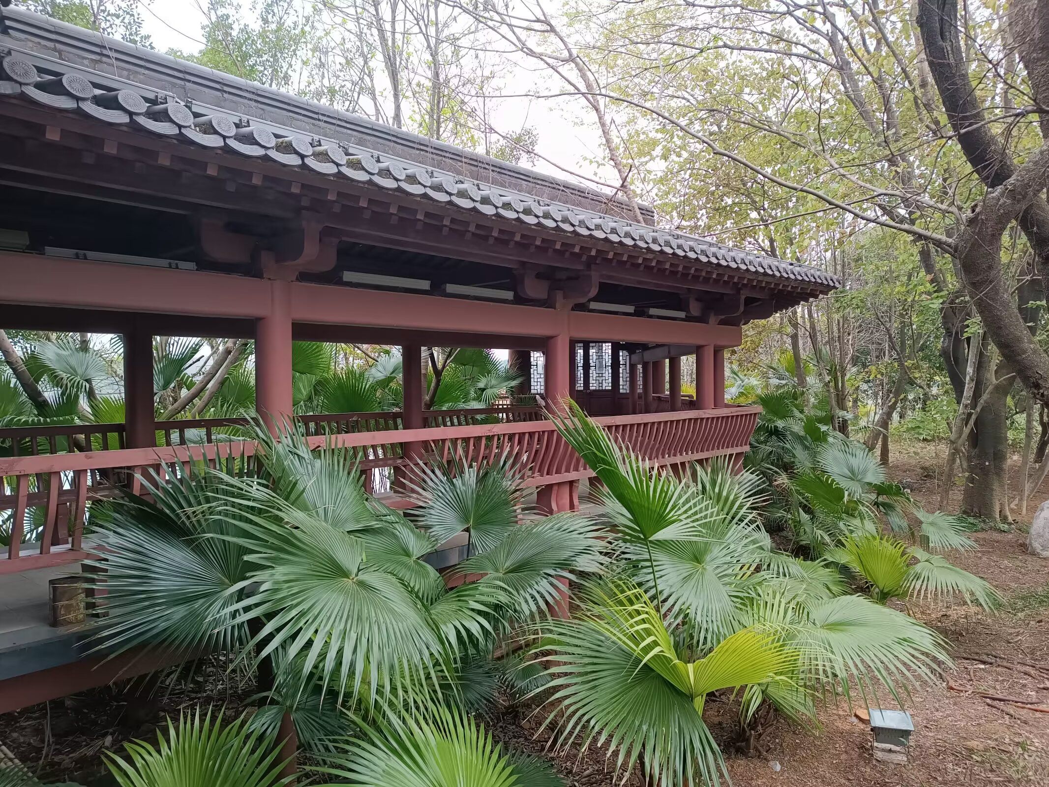桂林园博园旅行图片 3