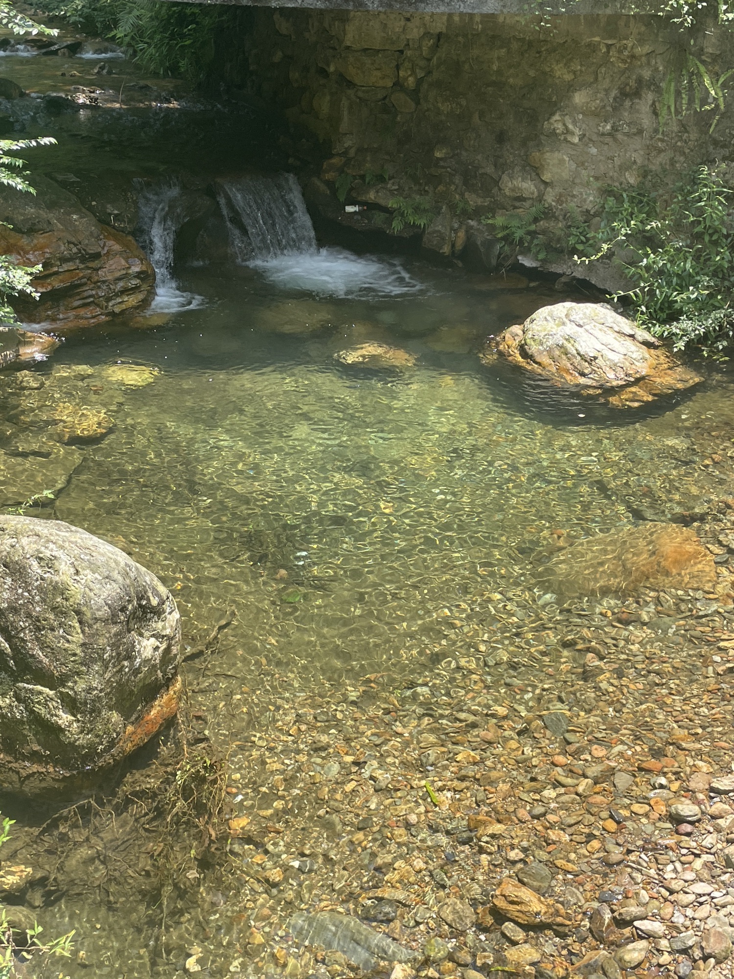 龙门瀑布旅行图片 3