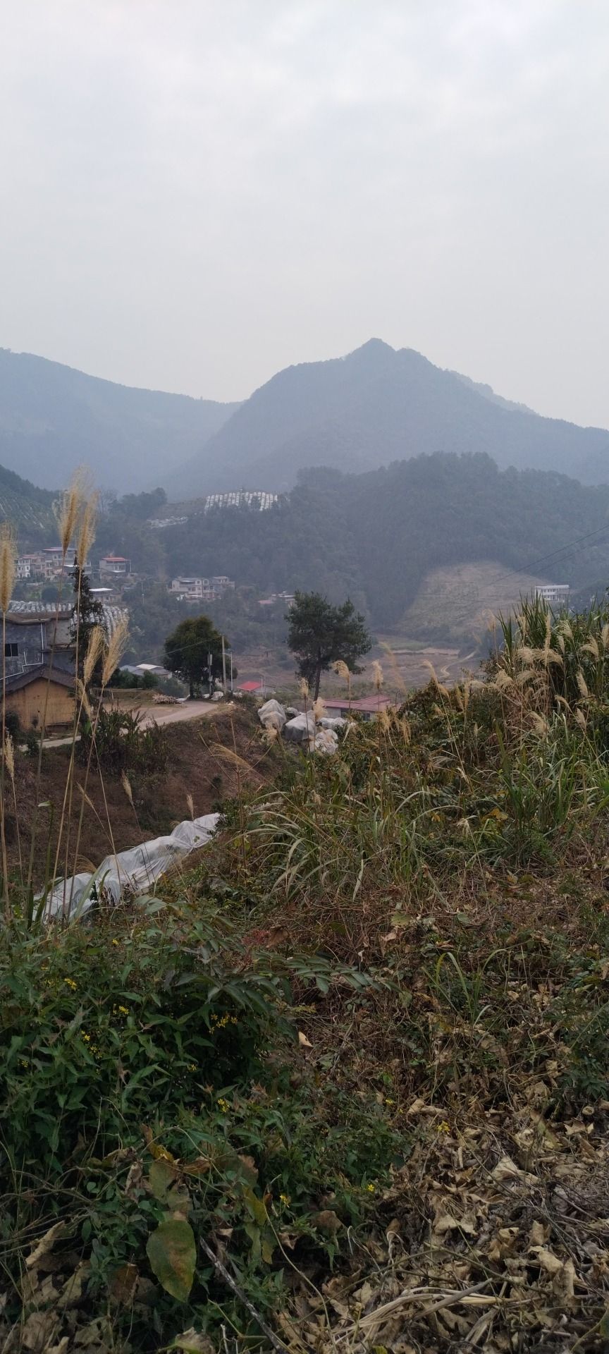 板峡湖旅行图片 1