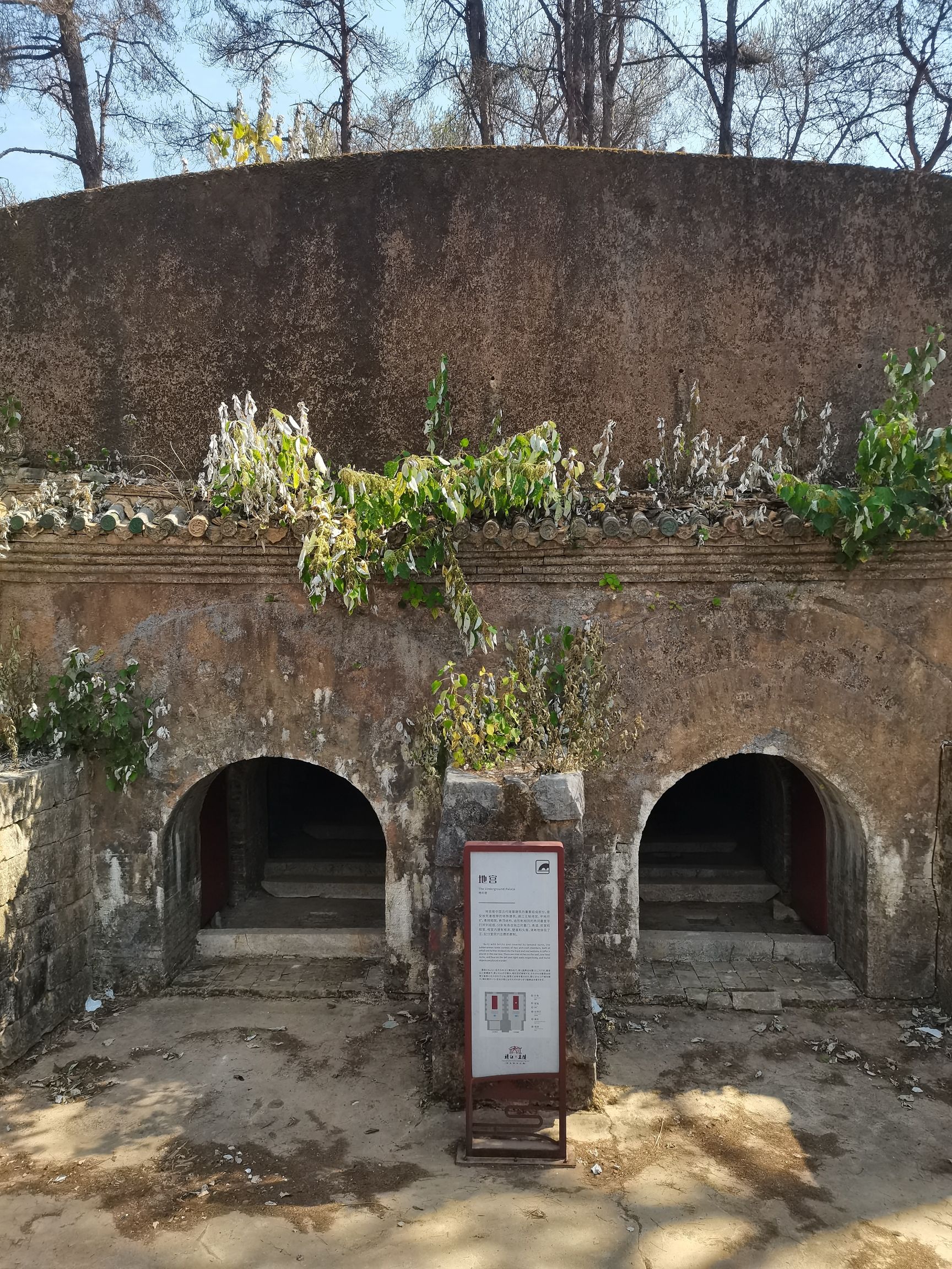 靖江康僖王陵旅行图片 2