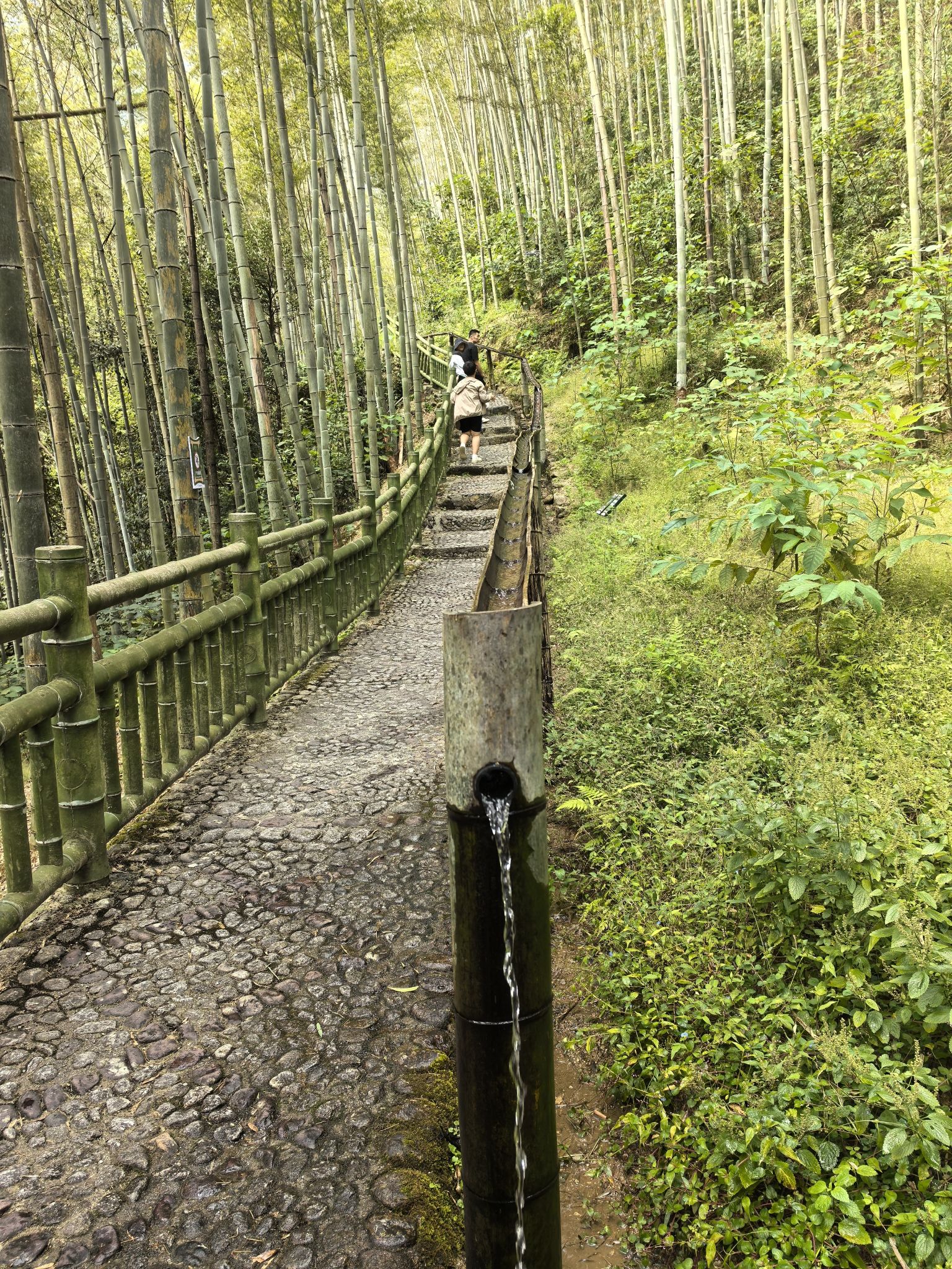 超然派景区旅行图片 2