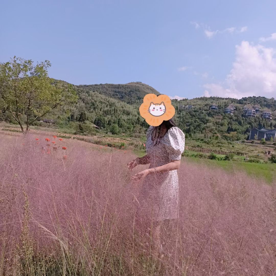 鲁家村旅行图片 3