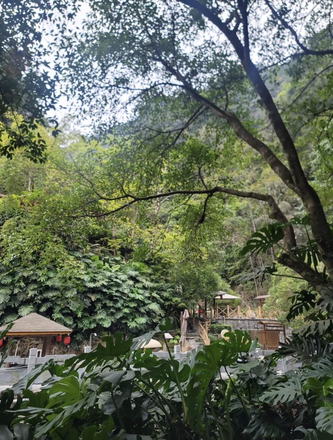 龙胜温泉旅游度假区旅行图片 1