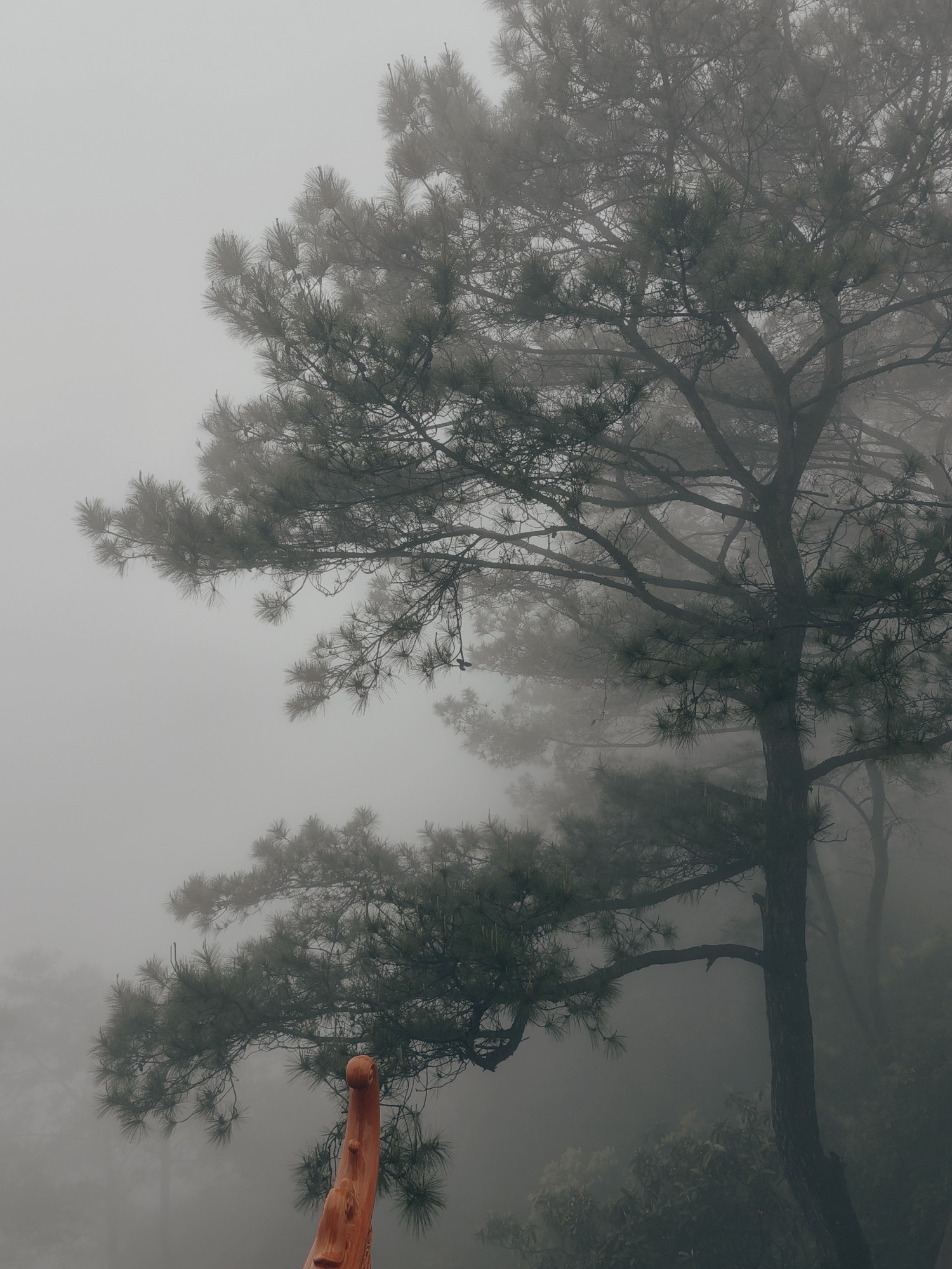 白云山景区旅行图片 1