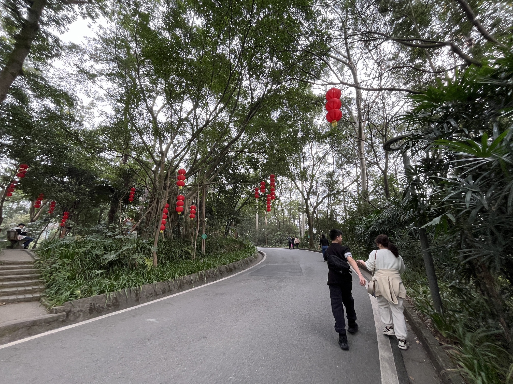白云山景区旅行图片 1