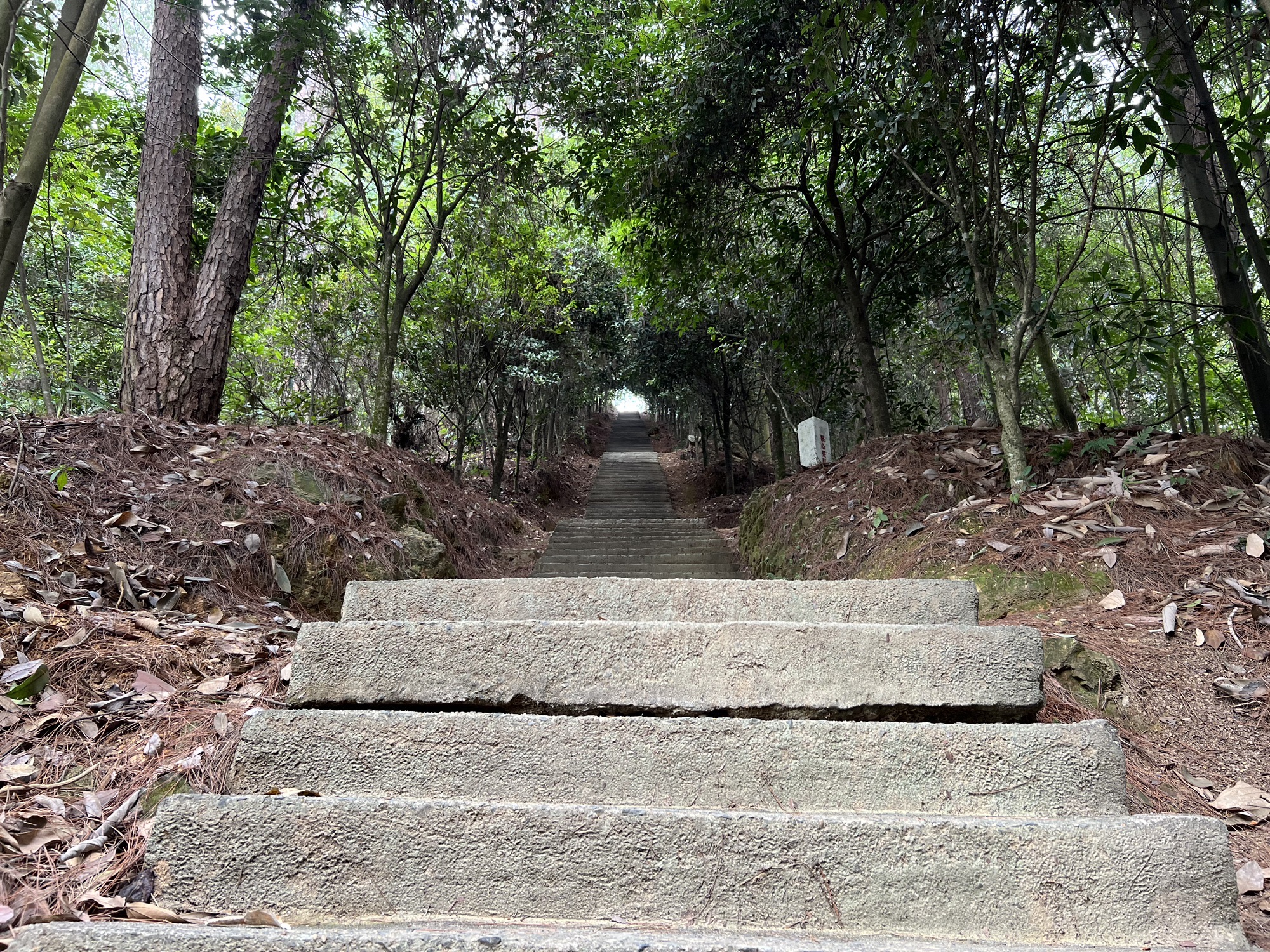 白云山景区旅行图片 2