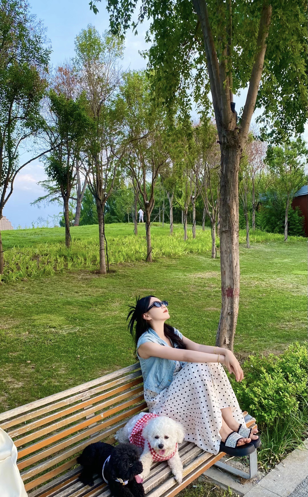 滨江健身公园旅行图片 3