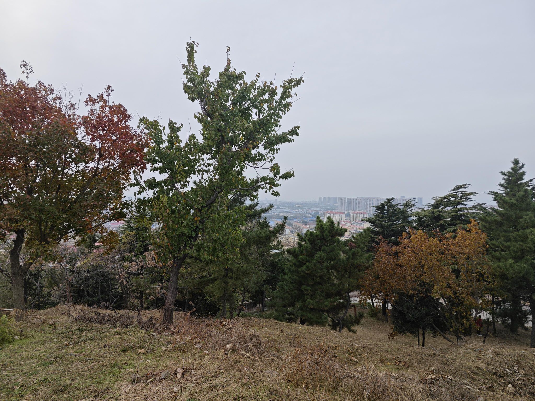 西炮台公园旅行图片 3