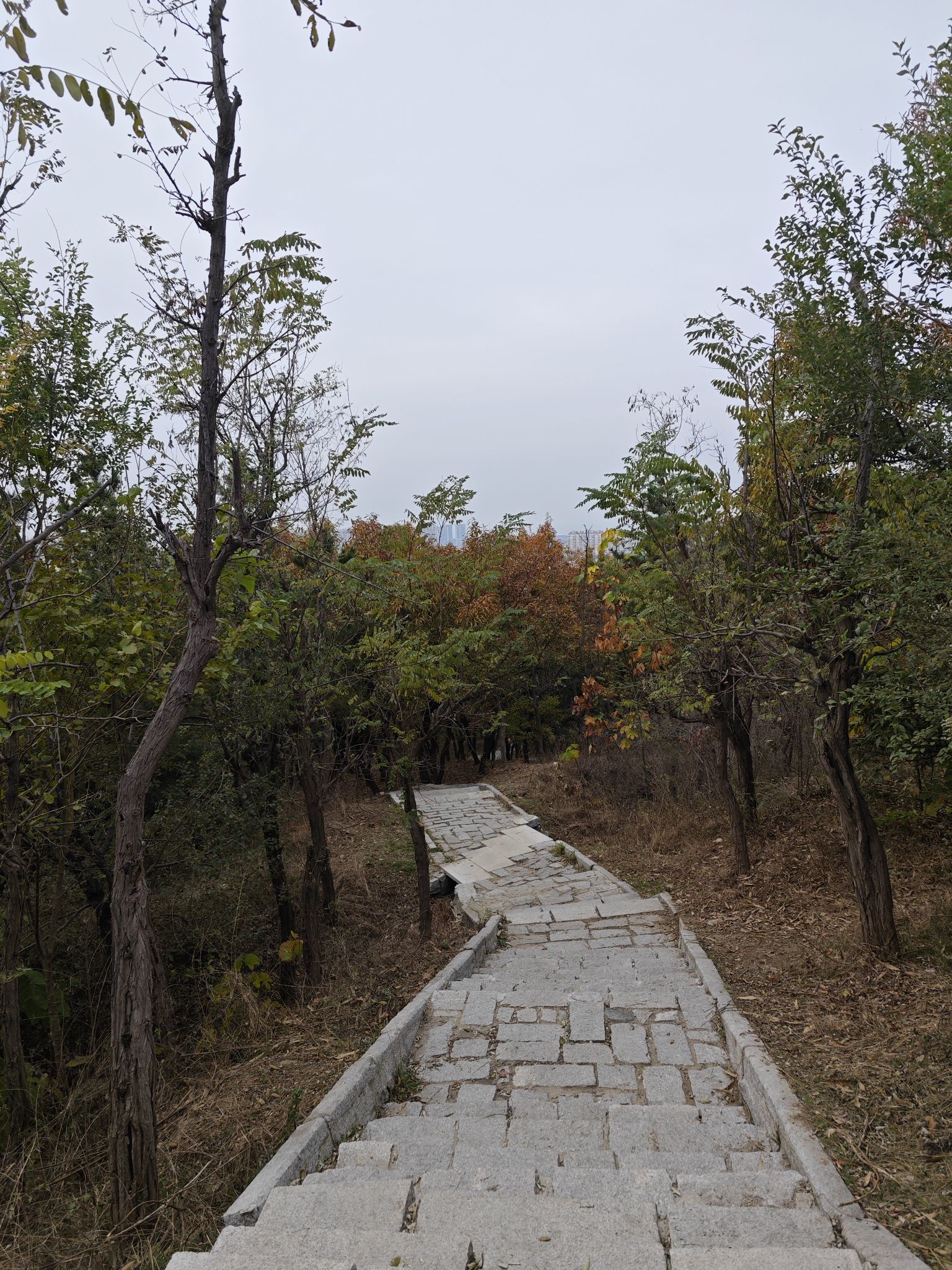 西炮台公园旅行图片 3