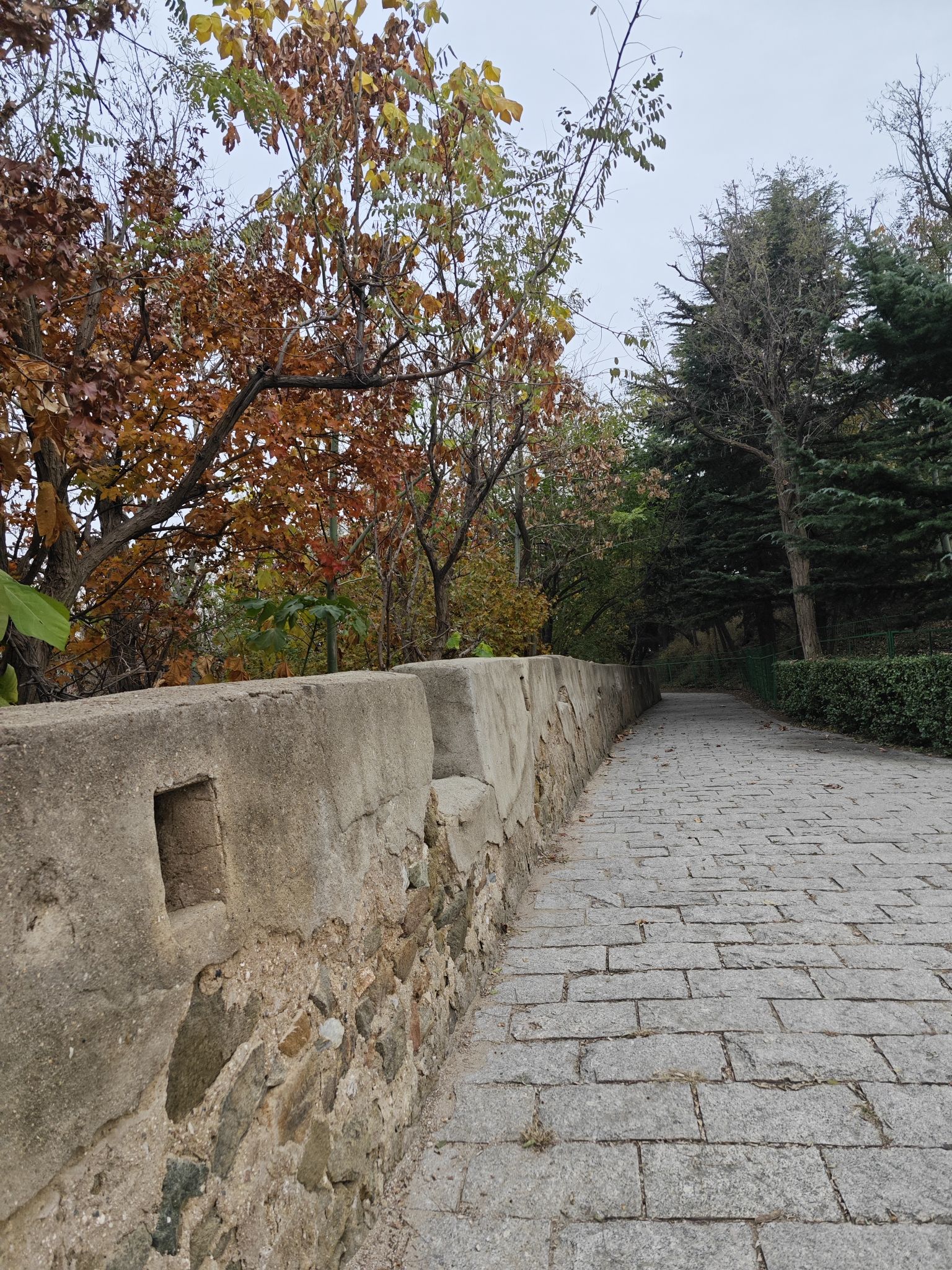 西炮台公园旅行图片 1