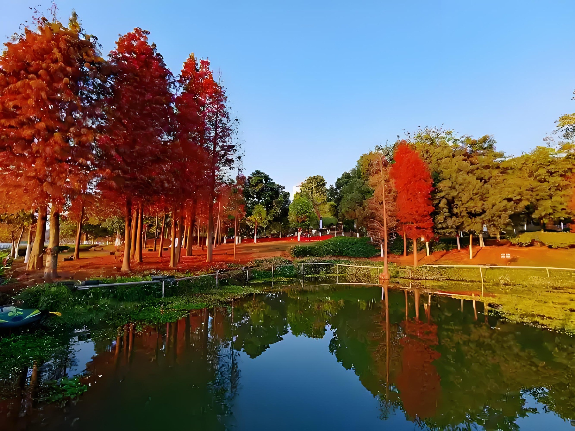 玫瑰湖公园旅行图片 2