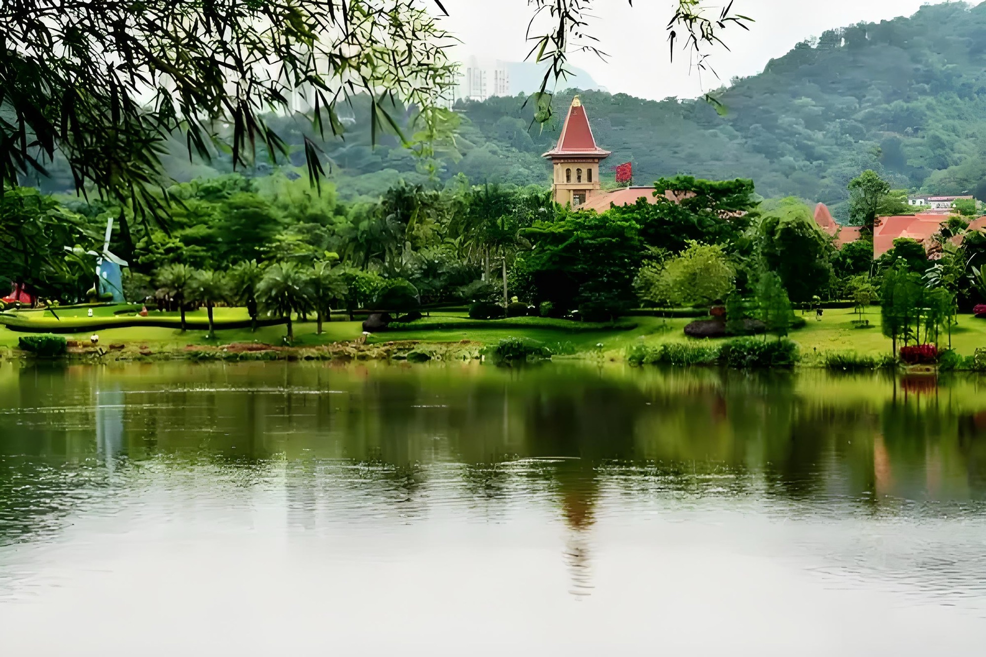 玫瑰湖公园旅行图片 3