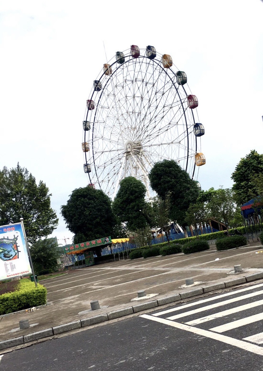 玫瑰湖公园旅行图片 2