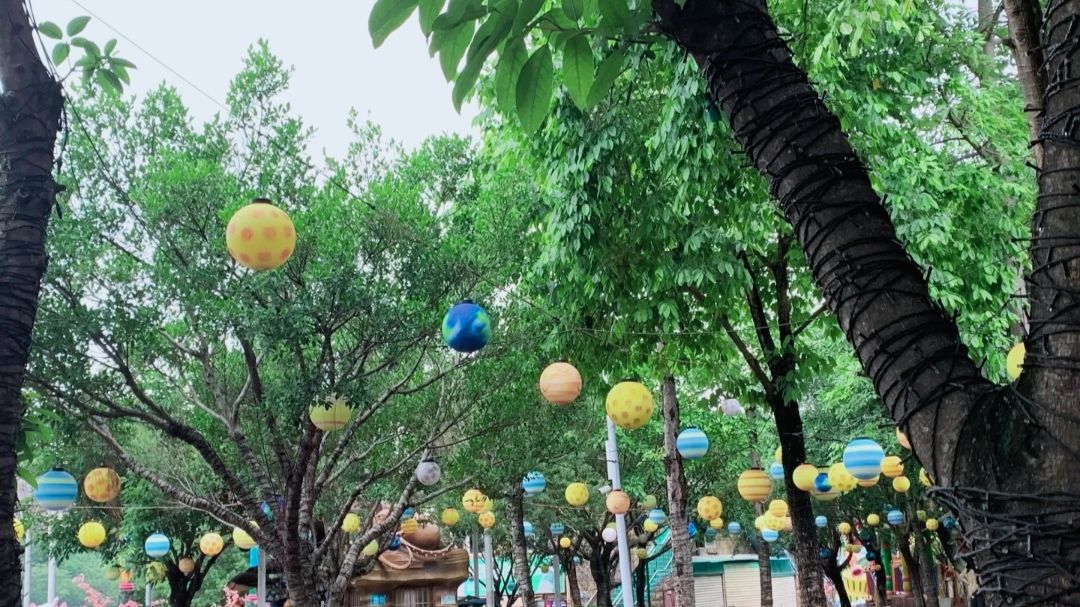 玫瑰湖公园旅行图片 3