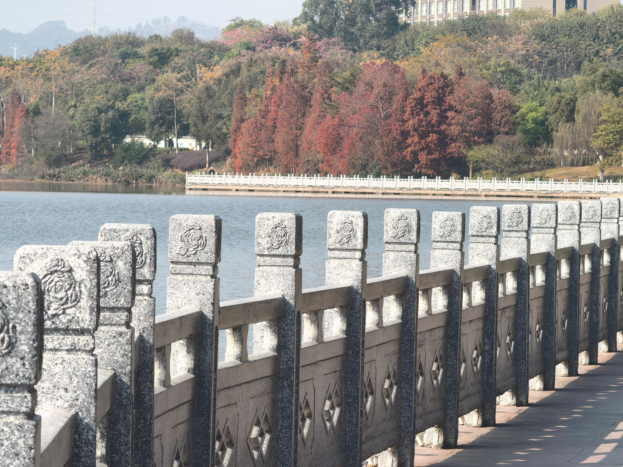 玫瑰湖公园旅行图片 1