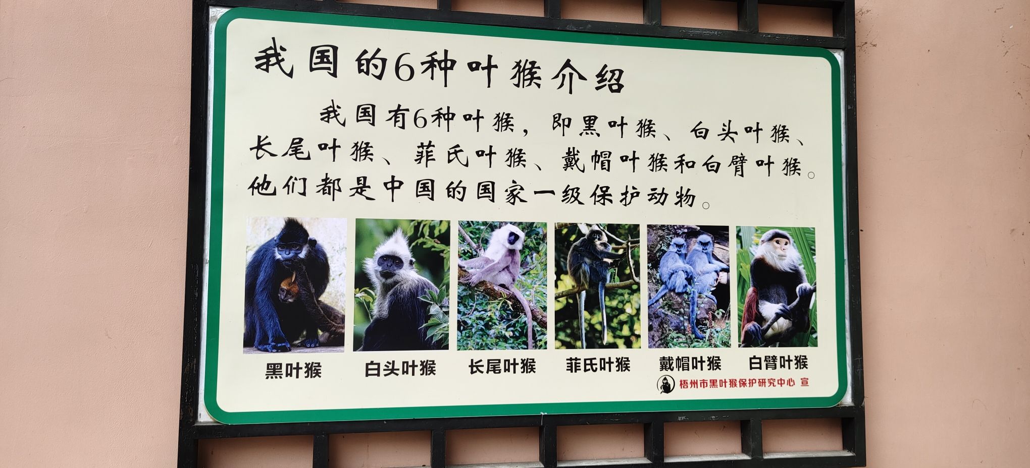 梧州市云龙公园旅行图片 3