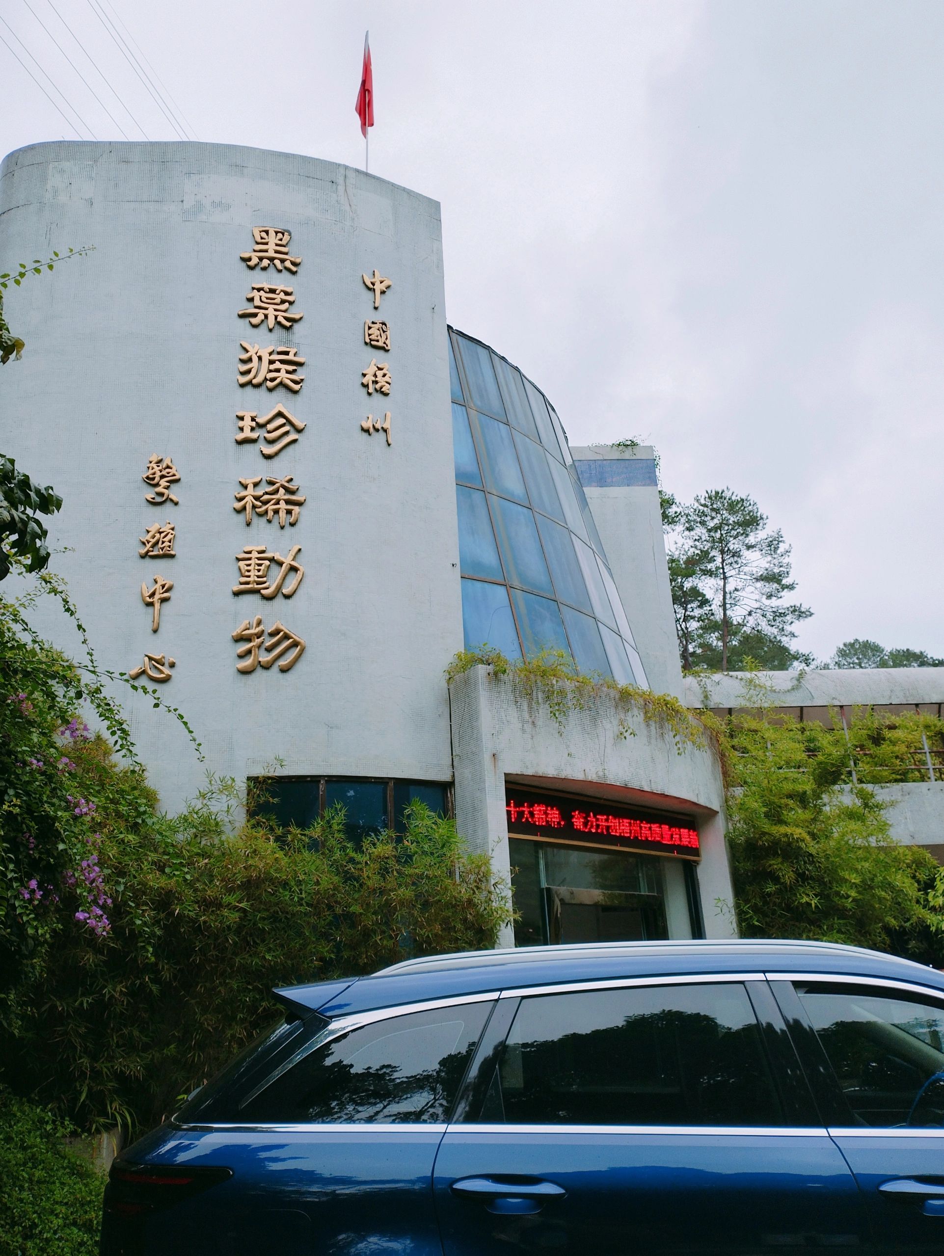 梧州市云龙公园旅行图片 2
