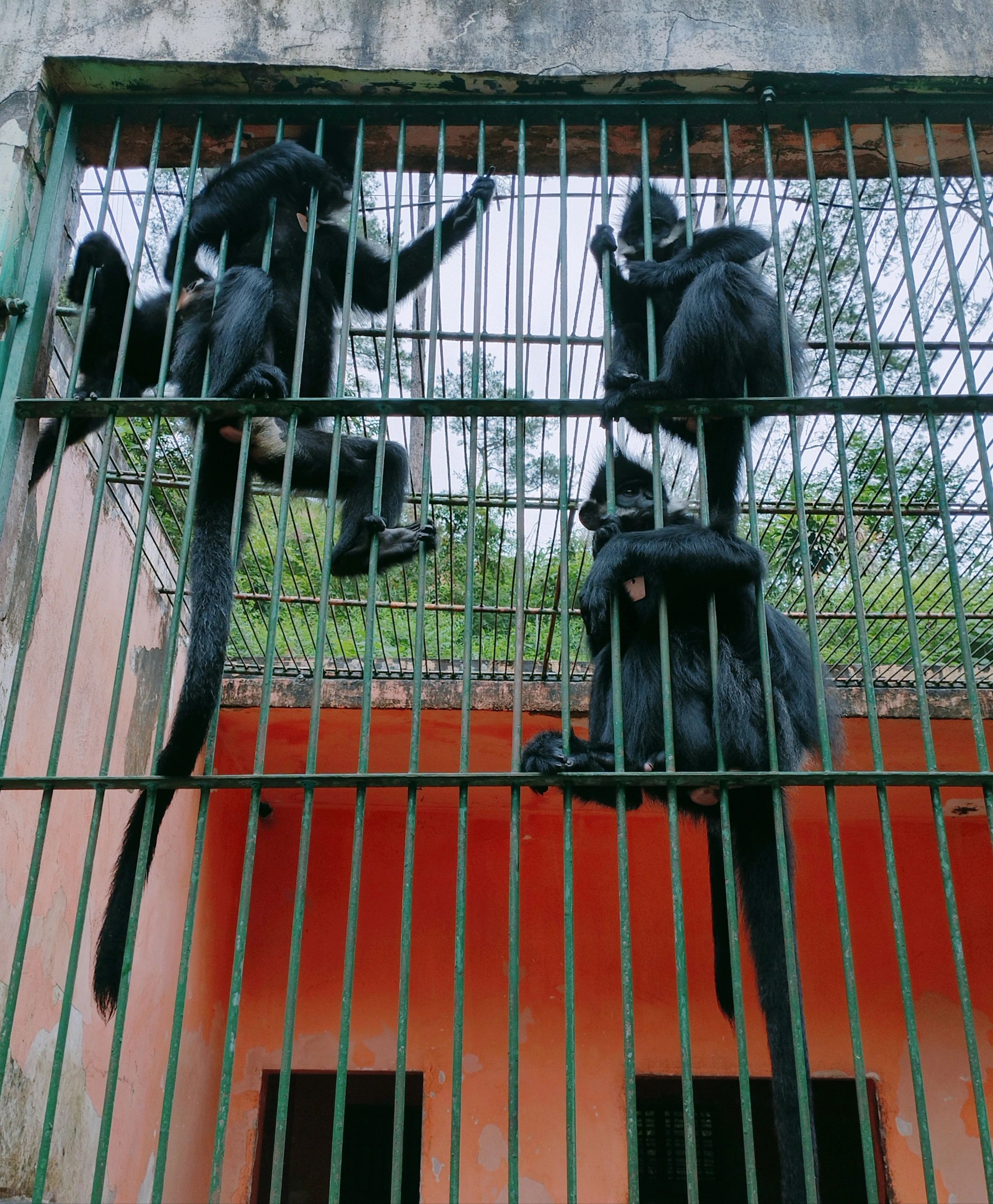梧州市云龙公园旅行图片 3