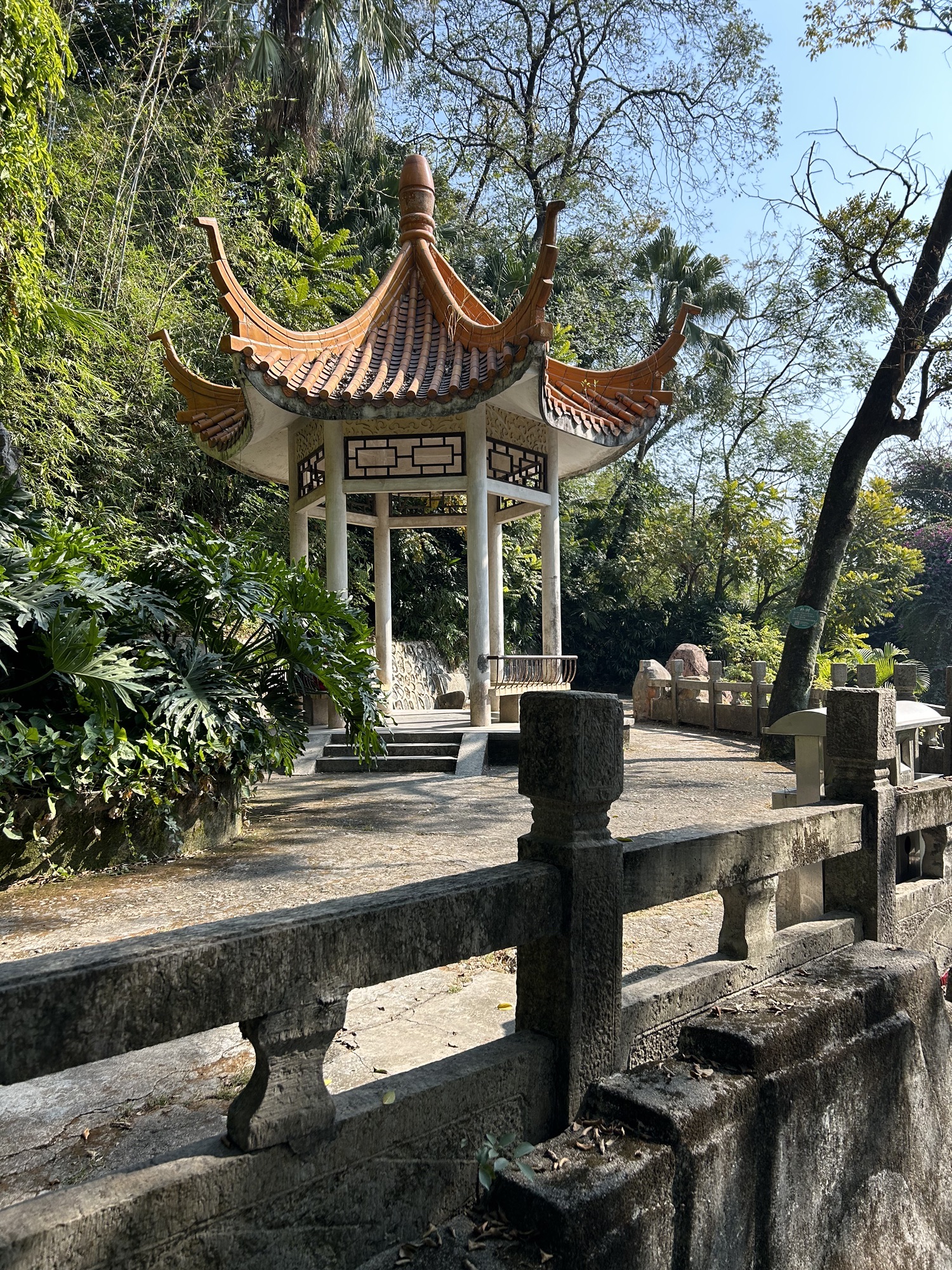 中山公园旅行图片 3