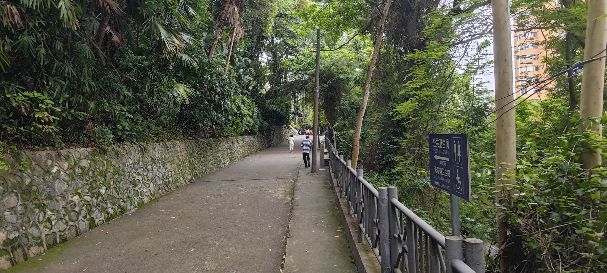 中山公园旅行图片 3