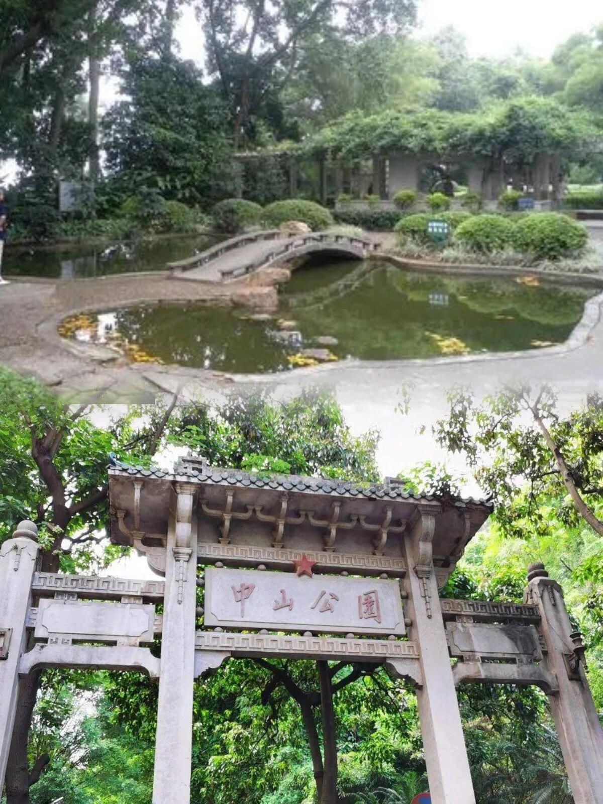 中山公园旅行图片 2