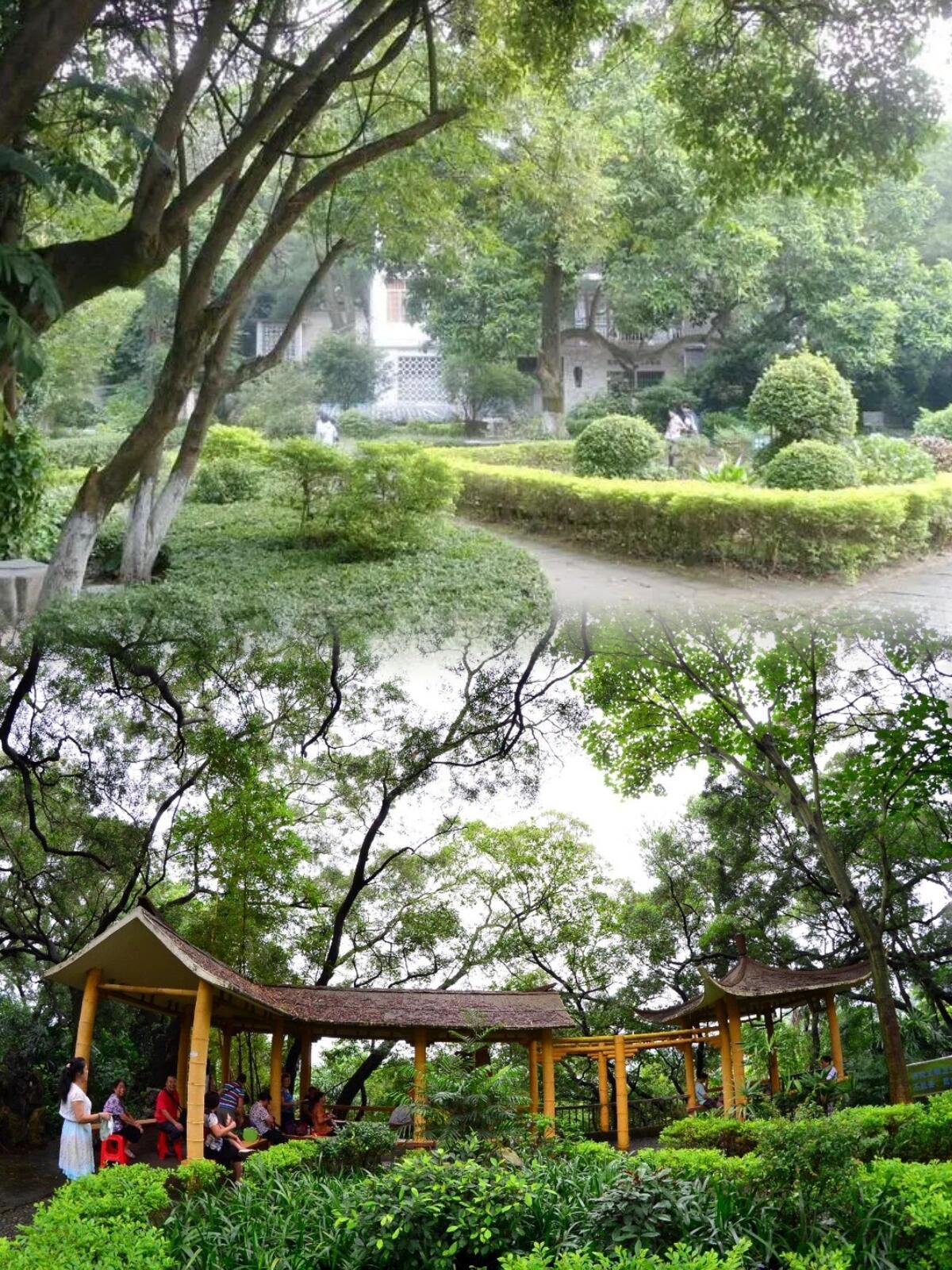 中山公园旅行图片 3