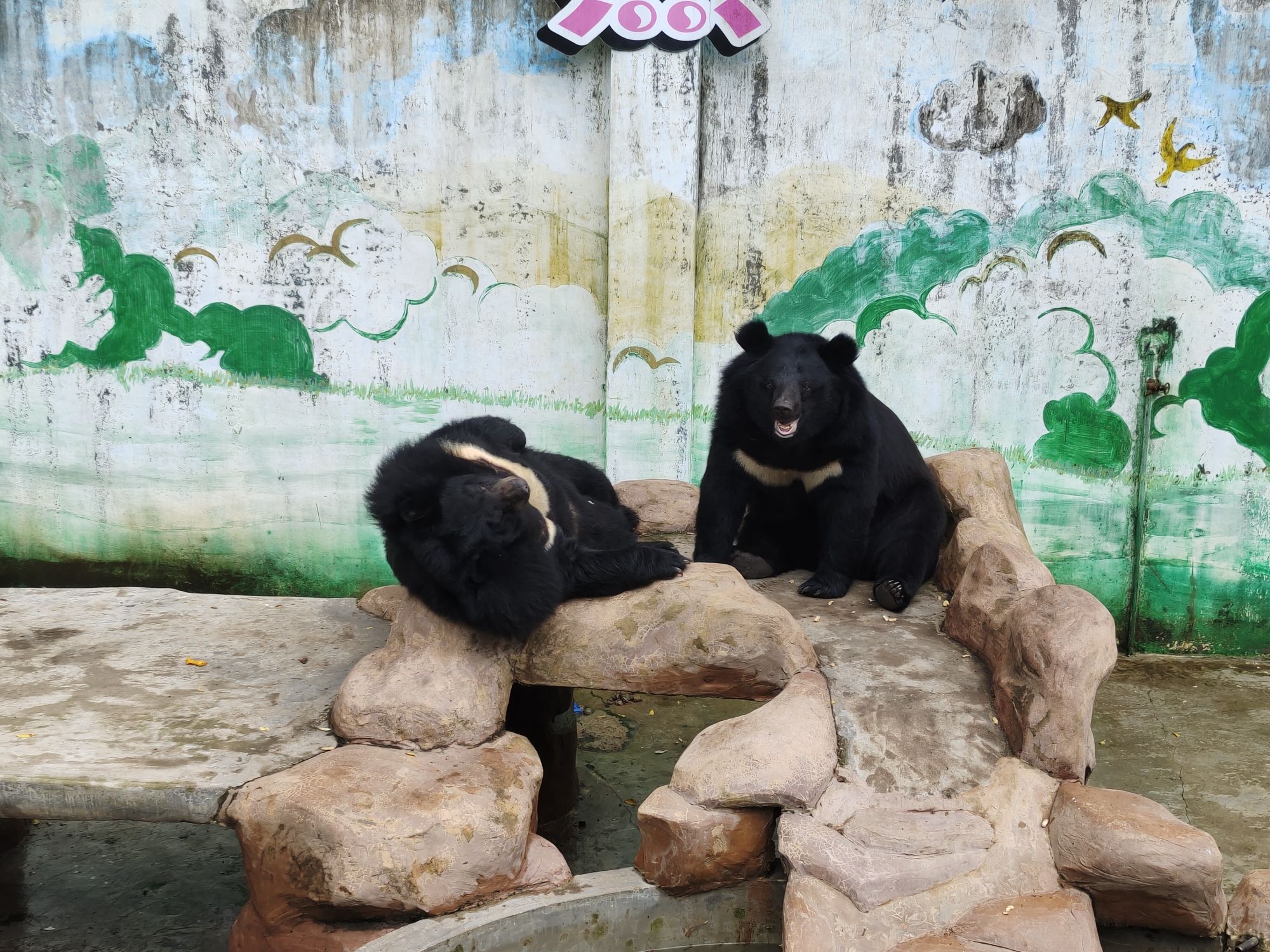 梧州市太和公园旅行图片 1