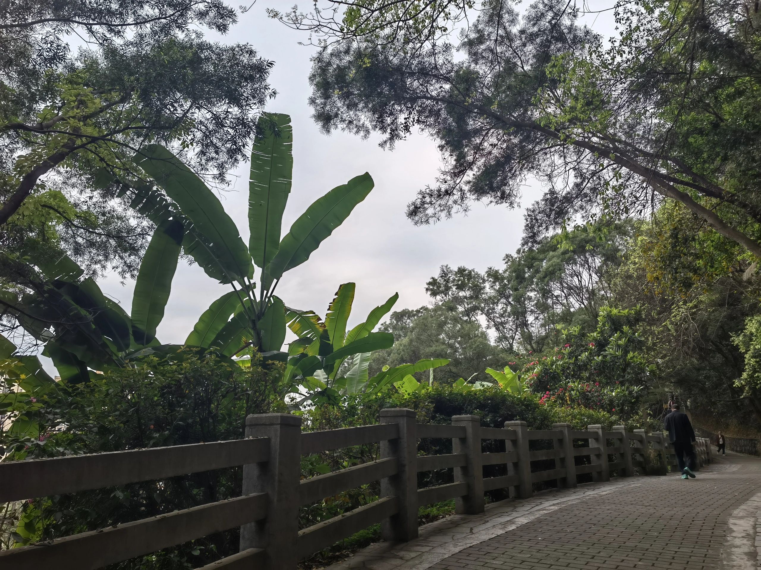 榜山公园旅行图片 2