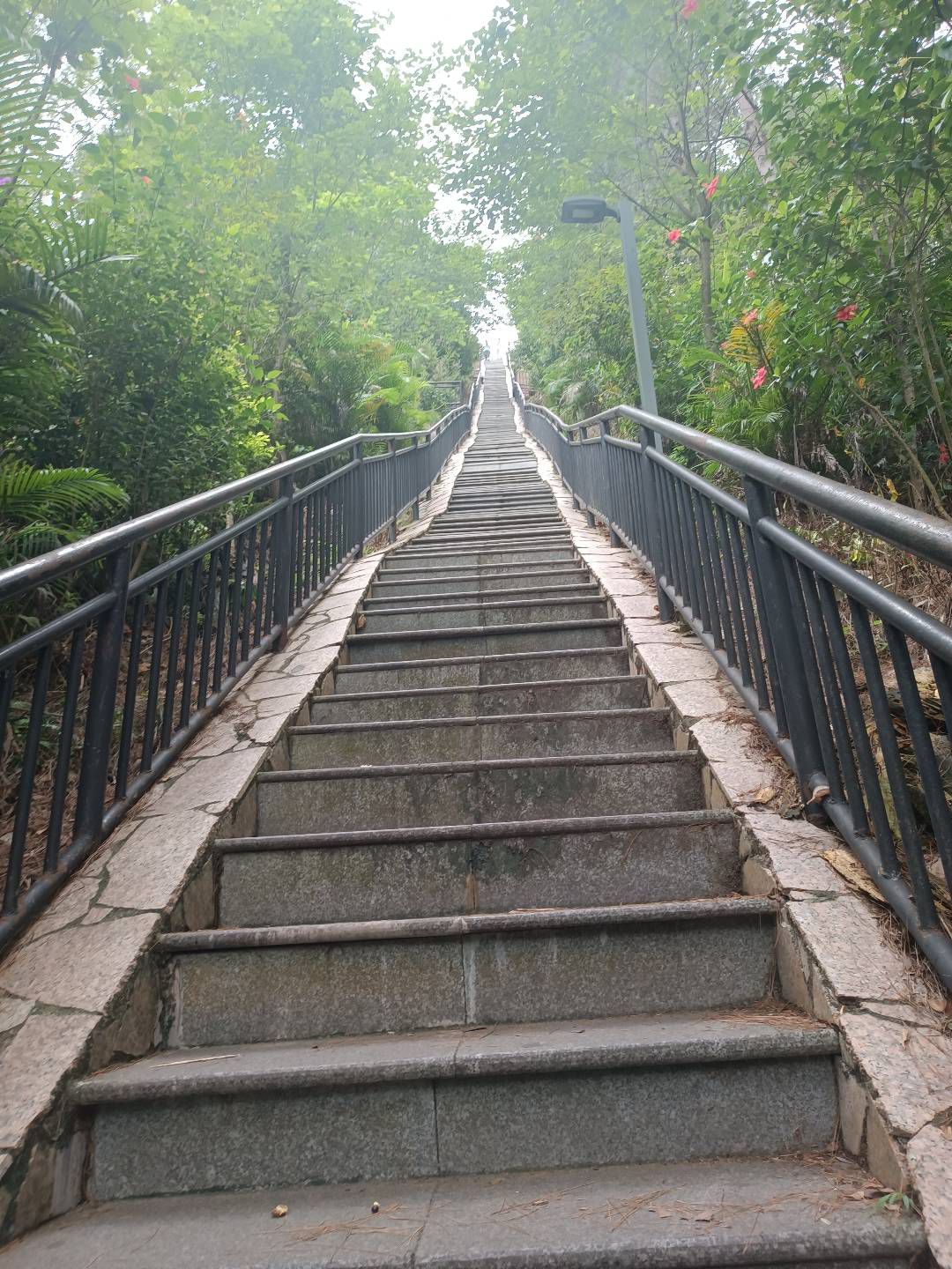 挂榜岭公园旅行图片 3