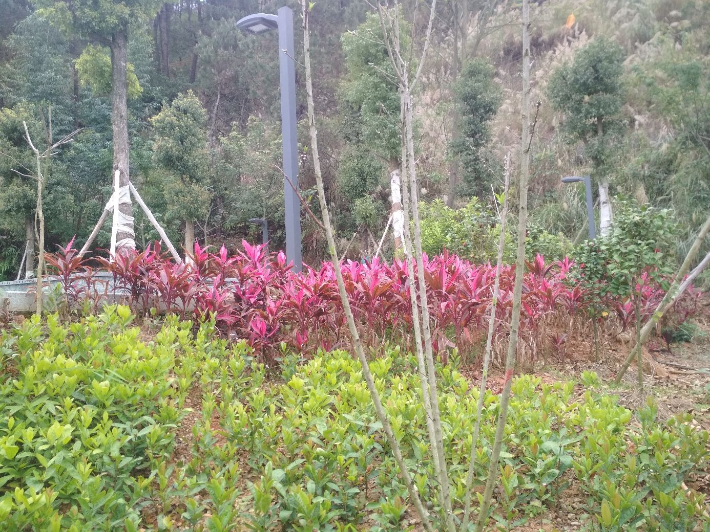 挂榜岭公园旅行图片 2