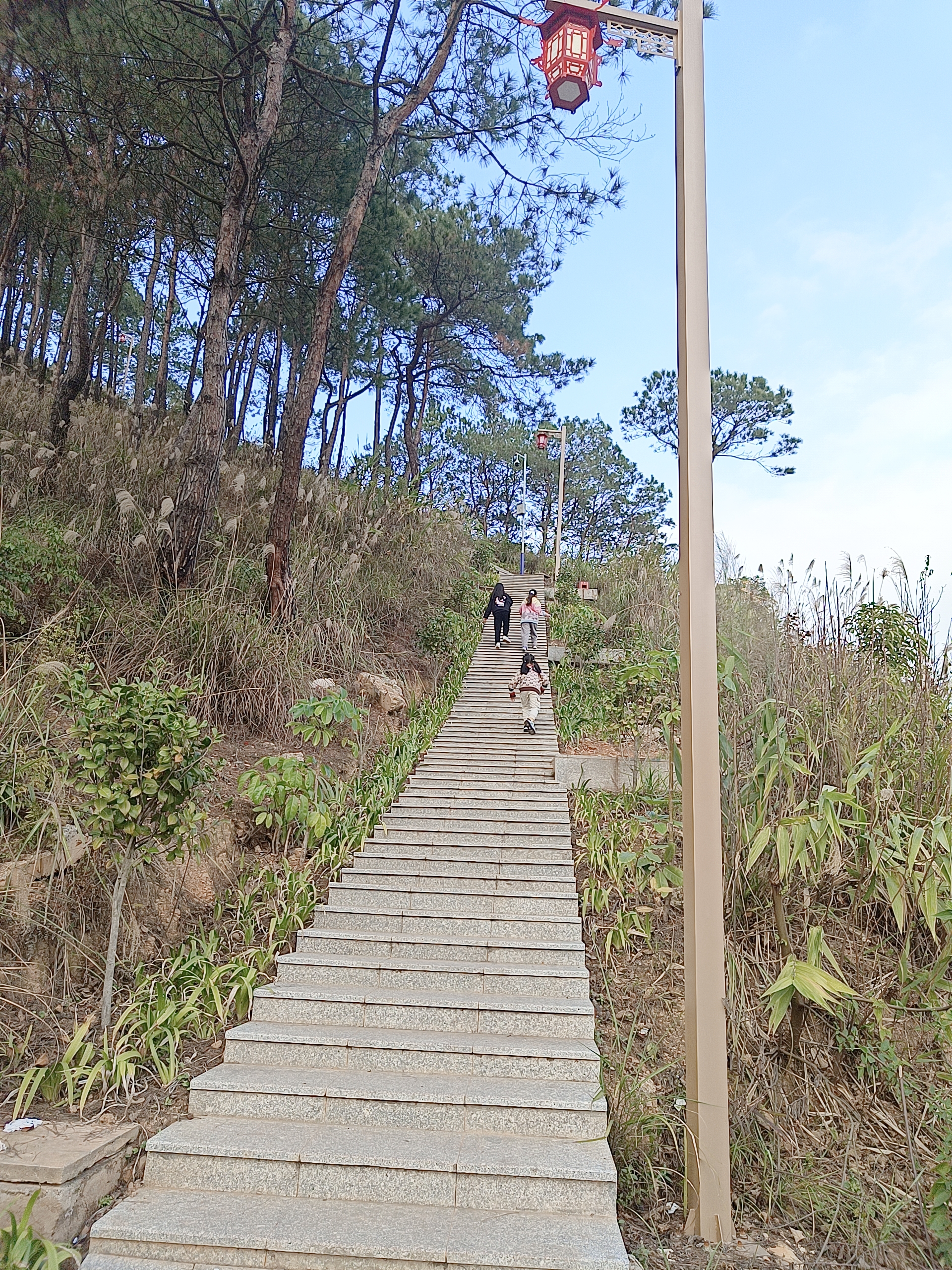 挂榜岭公园旅行图片 2