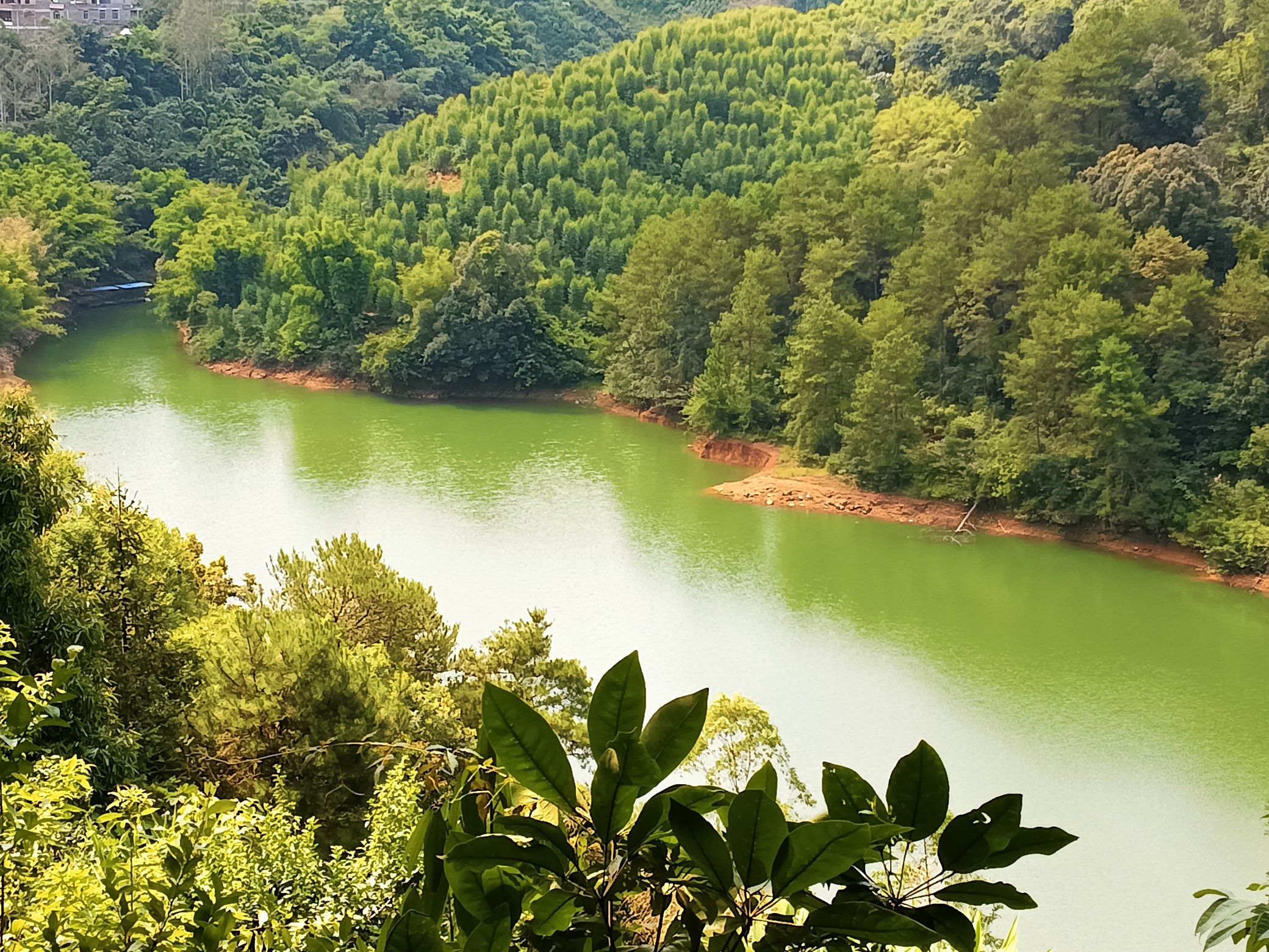 仙人湖景区旅行图片 1